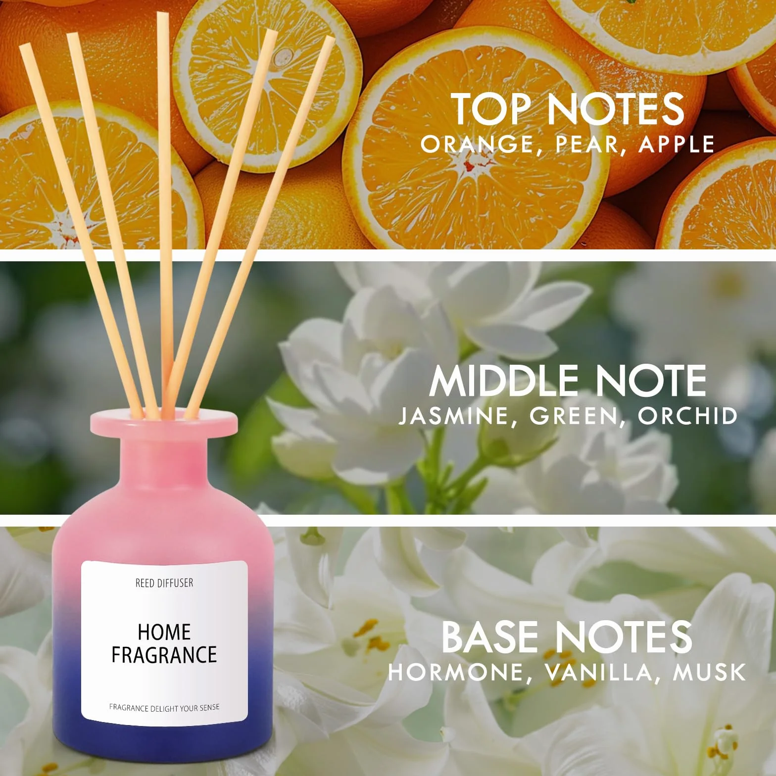 SCENTORINI Dyfuzor pokojowy 100 ml z patyczkami, odświeżacz powietrza zapachowy letniej nocy