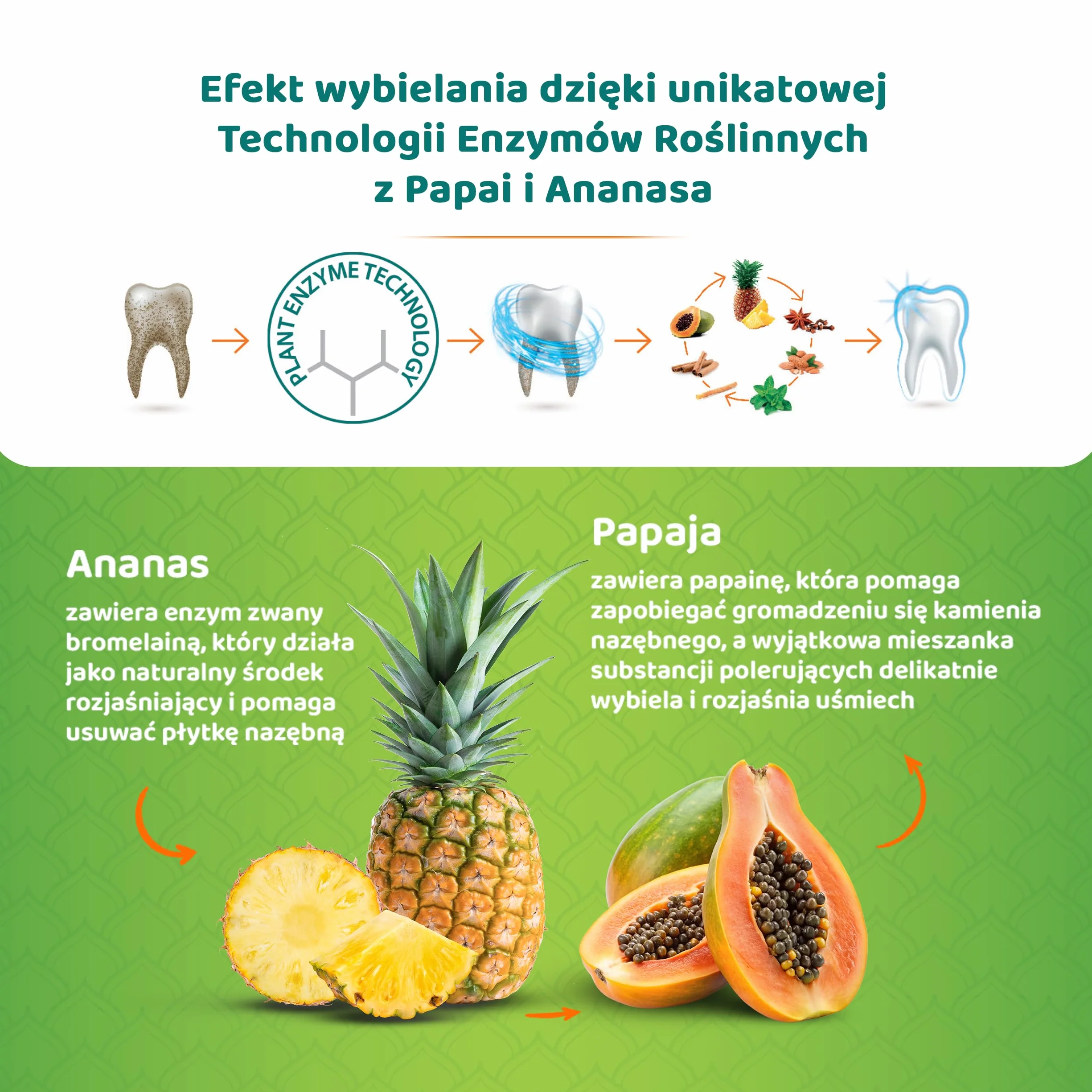 Himalaya Deep Clean Ziołowa Pasta do Zębów 75ml – Głęboko Oczyszczająca, 96% Składników Naturalnego Pochodzenia, Bez Fluoru, Technologia Enzymów Roślinnych, Z Miswakiem i Olejem z Czarnuszki
