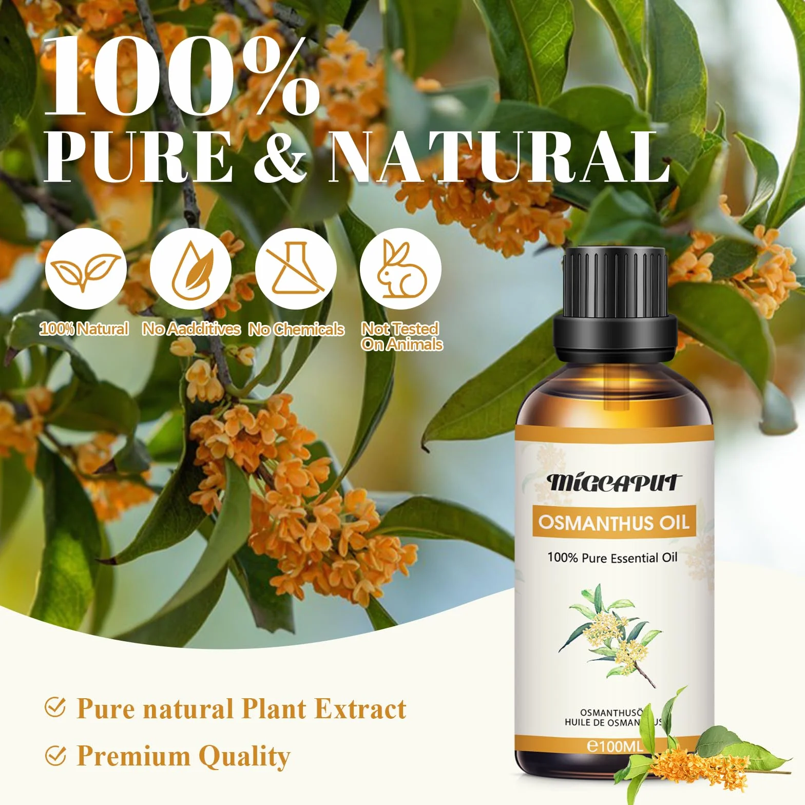 MIGCAPUT Olejek Eteryczny Osmanthus Fragrans 100ML, Olejki do Aromaterapii Premium, 100% Czysty Naturalny Olejki Aromaterapeutyczny do Dyfuzora Nawilżacza, SPA, Masażu, Snu, Mydła