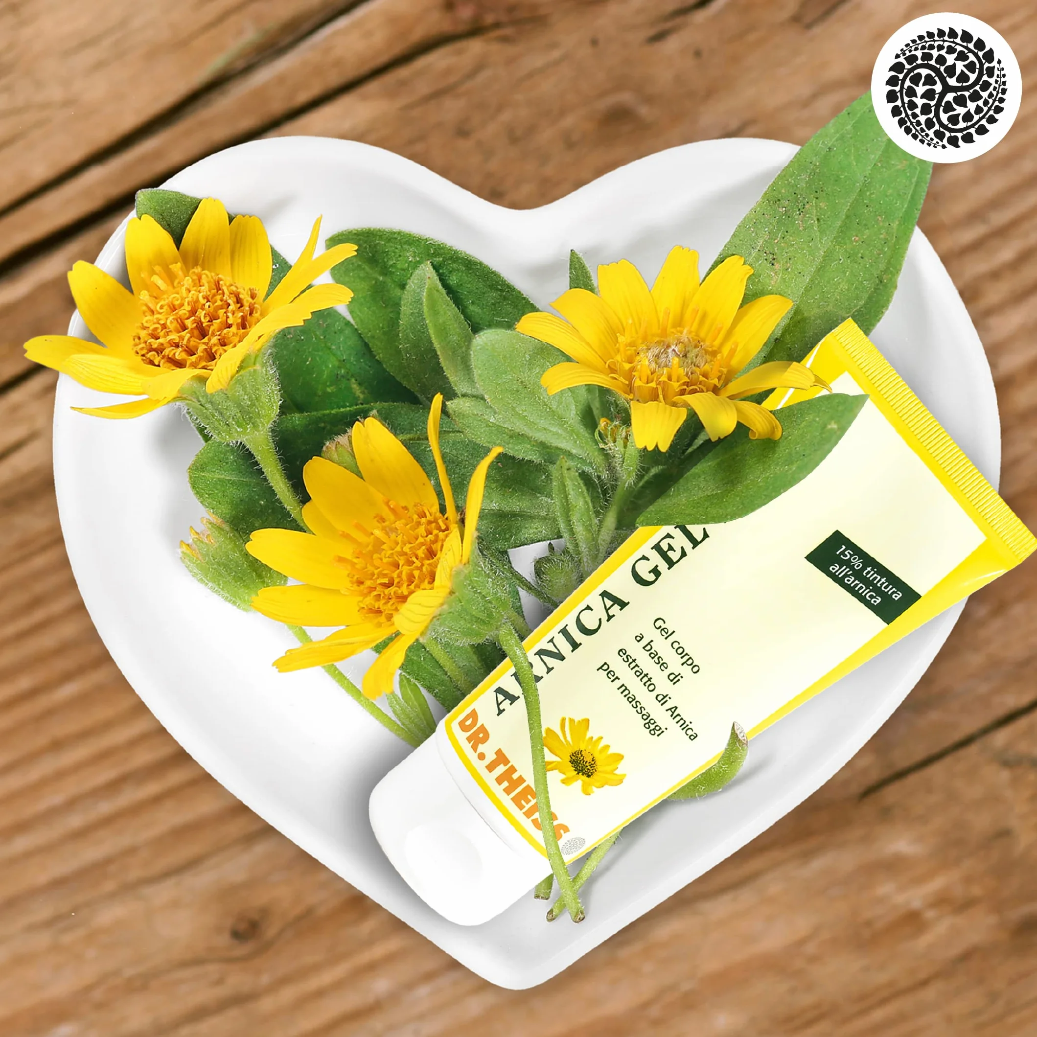 Dr Theiss Arnica Gel Forte 100 ml