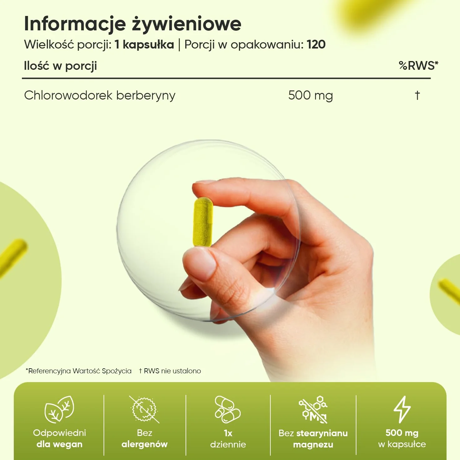 Berberyna 500 mg, opakowanie 120 kapsułek, zaopatrzenie na 4 miesiące – suplement berberyny odpowiedni dla wegan, bez alergenów, bezglutenowy oraz bez GMO, tylko raz dziennie