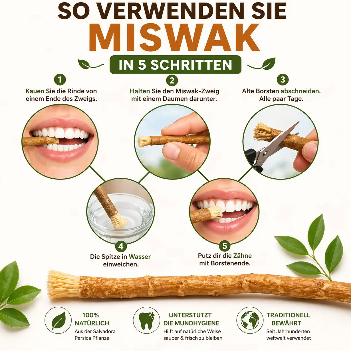 Miswak szczoteczka do zębów, 10 sztuk, tradycyjna szczoteczka do zębów, 100% naturalna szczoteczka do zębów Siwak, korzeń Miswak, czyszczenie i rozjaśnianie, przyjazna dla środowiska i