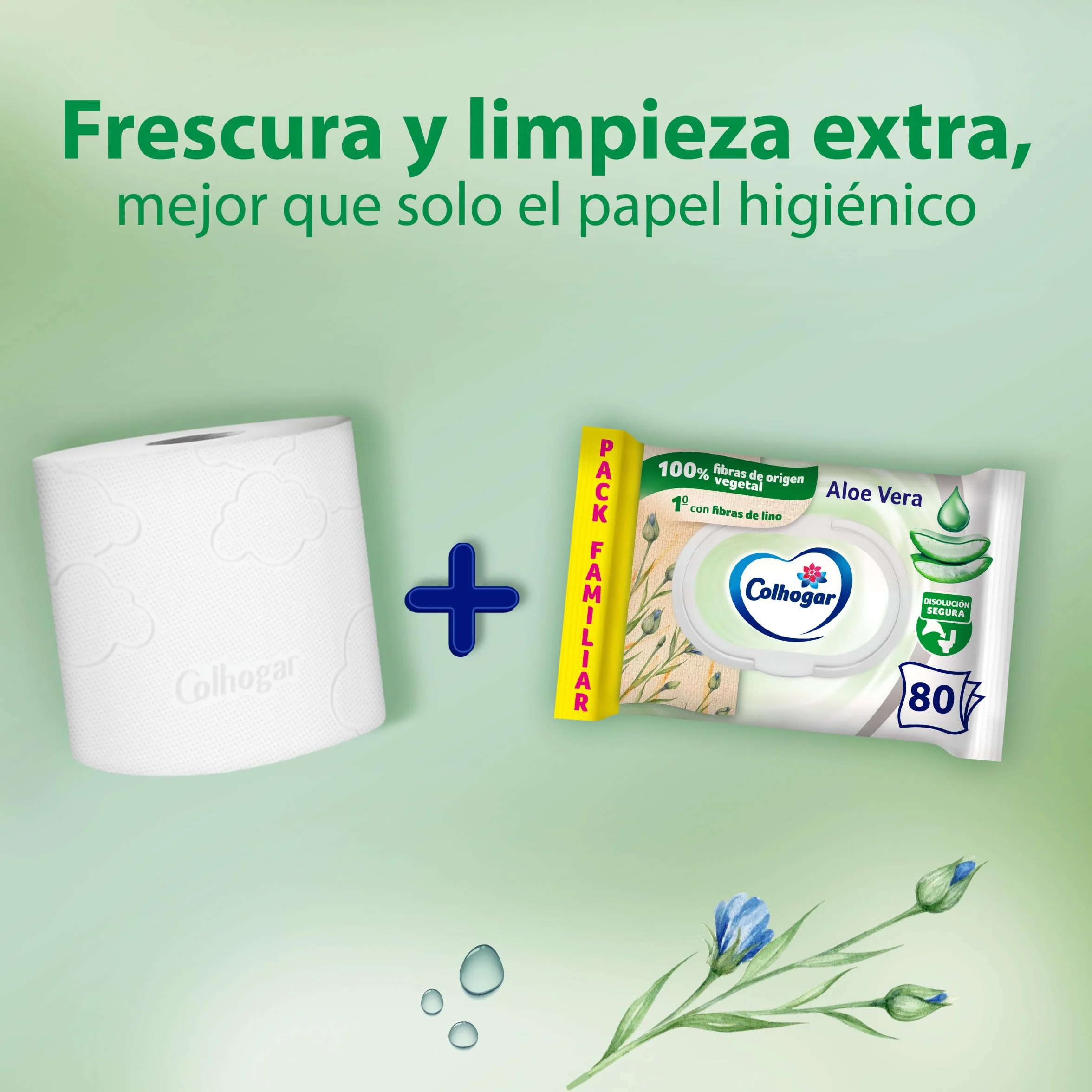 Colhogar Aloe 8x80 - papier toaletowy Jednorazowy na mokro z ekstraktem z aloesu - Bez alkoholu - Testowany dermatologicznie - Opakowanie z 640 chusteczkami na WC