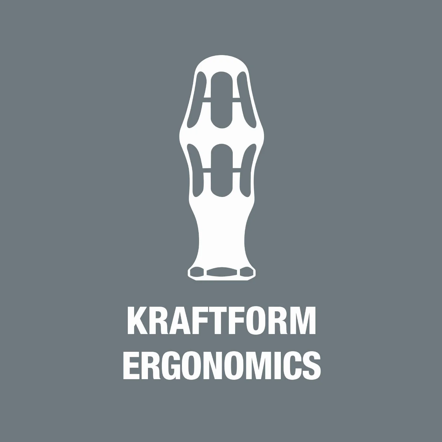 WERA-05003990001-817 Vde-Kraftform Porta Mango