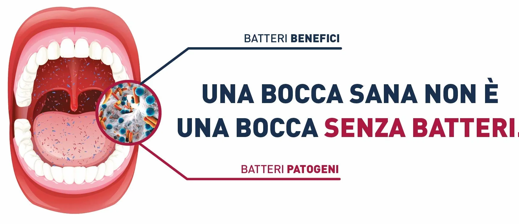 Biorepair, Peribioma™ mus do płukania jamy ustnej, płyn do płukania jamy ustnej, do zapalenia dziąseł, antybakteryjny, zmywacz do paznokci, format 200 ml