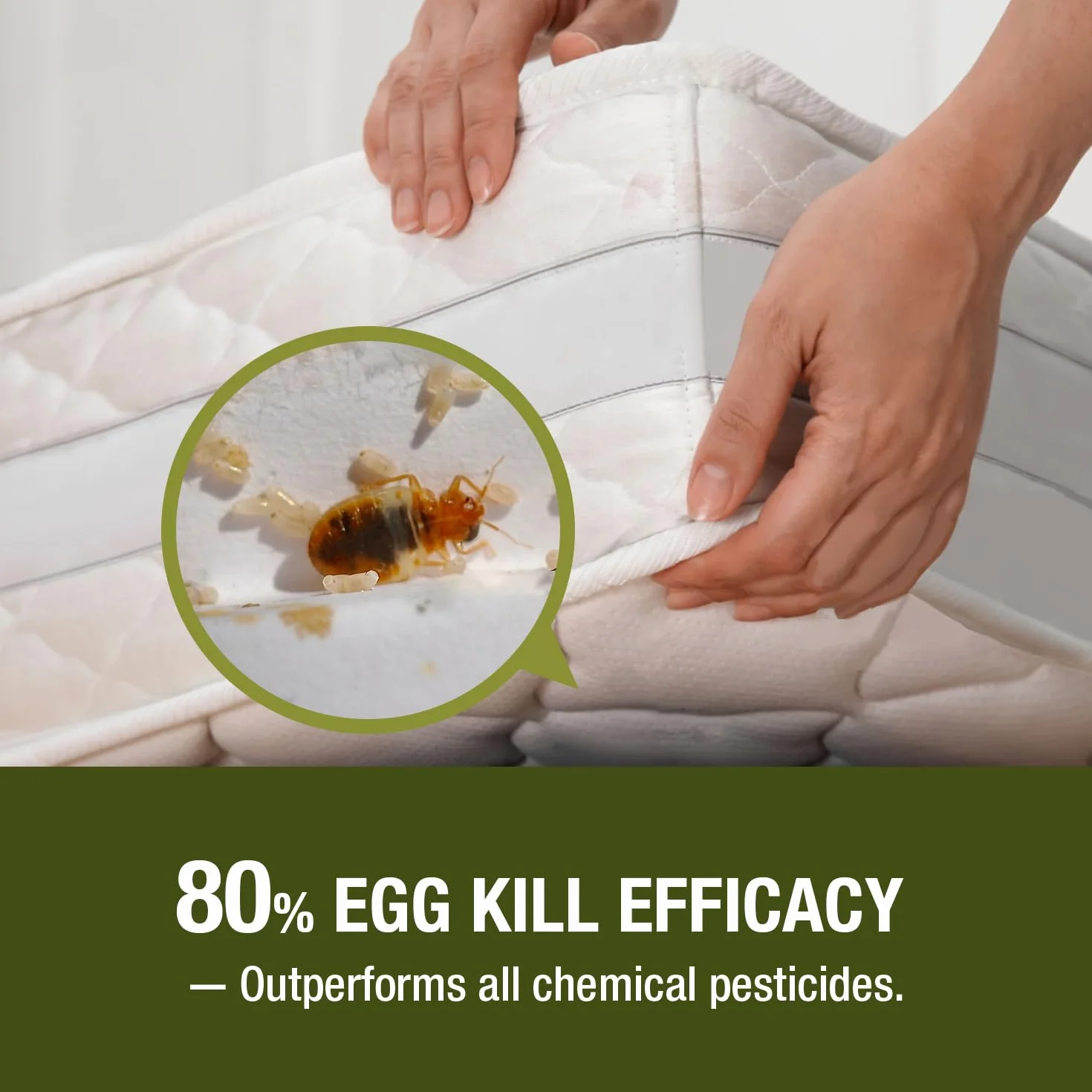 EcoRaider naturalny spray na owady (480 ml), 100% szybka eliminacja + eliminuje jaja i odporne owady, zaawansowana ochrona resztkowa, nietoksyczny + bezpieczny dla dzieci i zwierząt