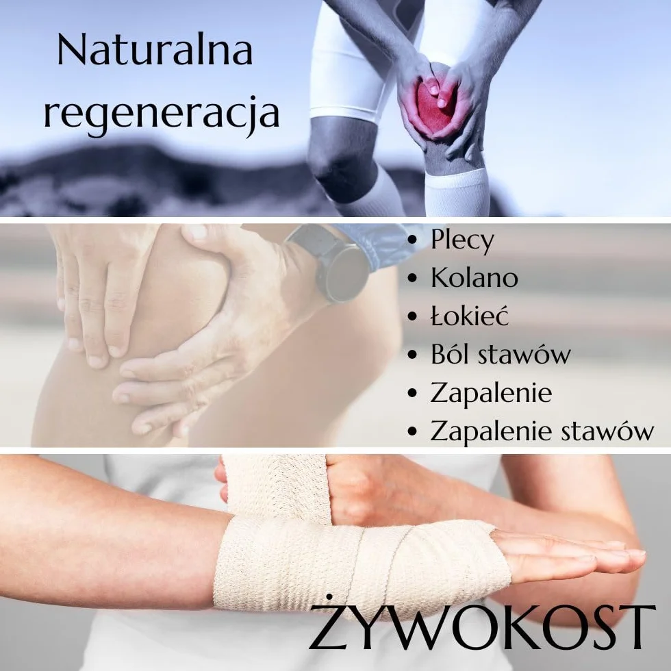 Green idea - Żywokost lekarski żel do masażu - bóle stawów, ścięgien i mięśni - na artretyzm, bóle pleców, kolan i karku - działanie lecznicze - 500 ml