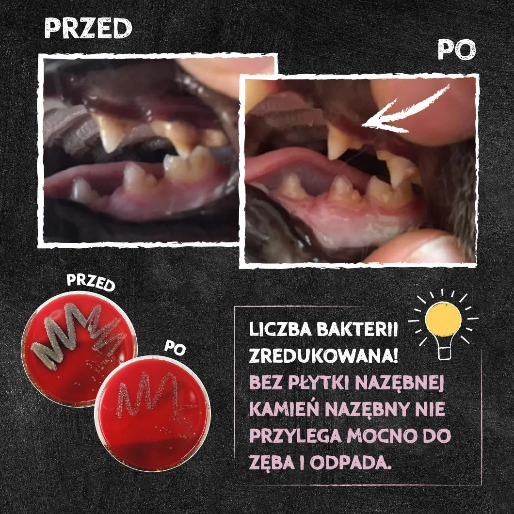 QCHEFS Dental Flips: Patyczek do żucia do pielęgnacji zębów u kotów - antybakteryjne czyszczenie zębów, które usuwa kamień nazębny.