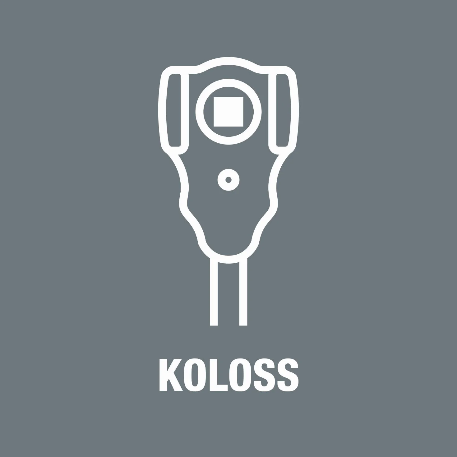 Wera 8781 C Koloss