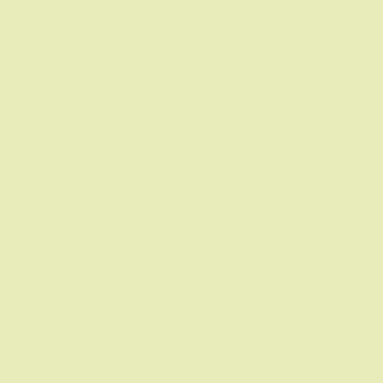 Colourcourage Premium farba ścienna Lime Cream jasnozielona 2,5 L bezzapachowa