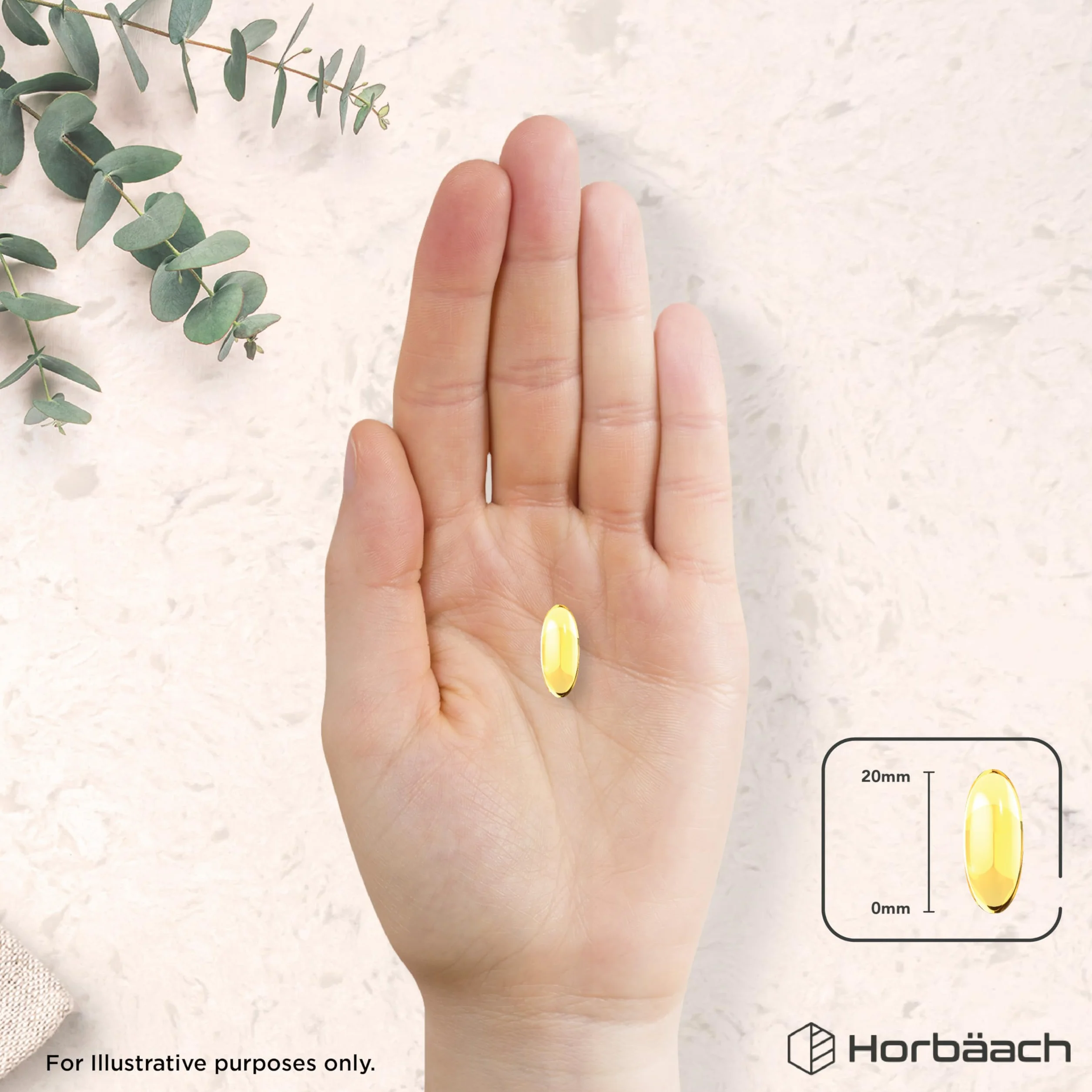 Horbaach Omega 3 DHA z oleju z Alg 1500mg 60 kapsułek 450mg ALA 240mg DHA