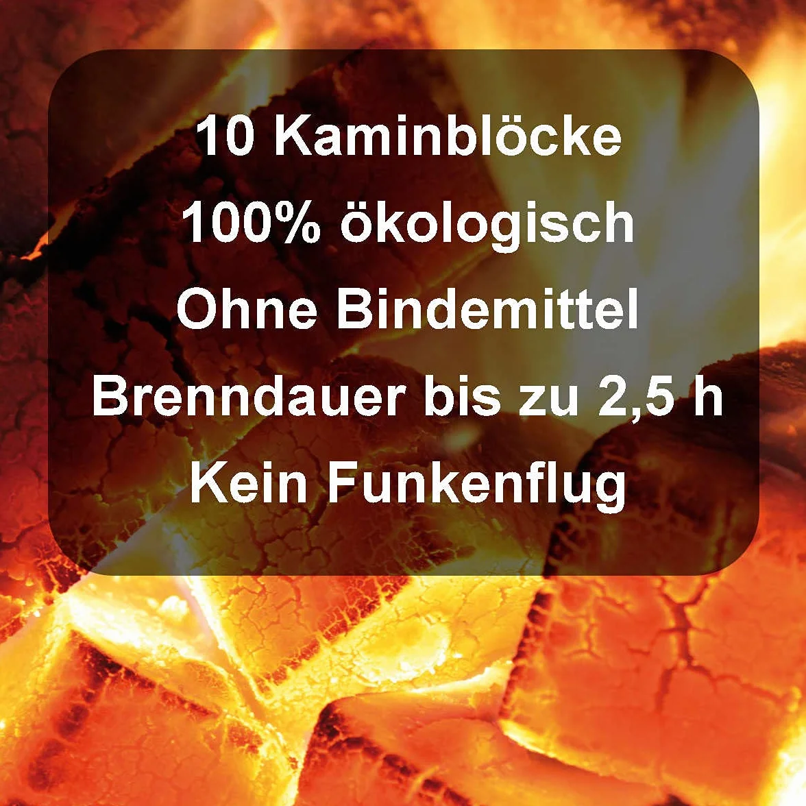 Blok kominkowy FLAMBBURO 1,1 kg drewno opałowe 10 szt.
