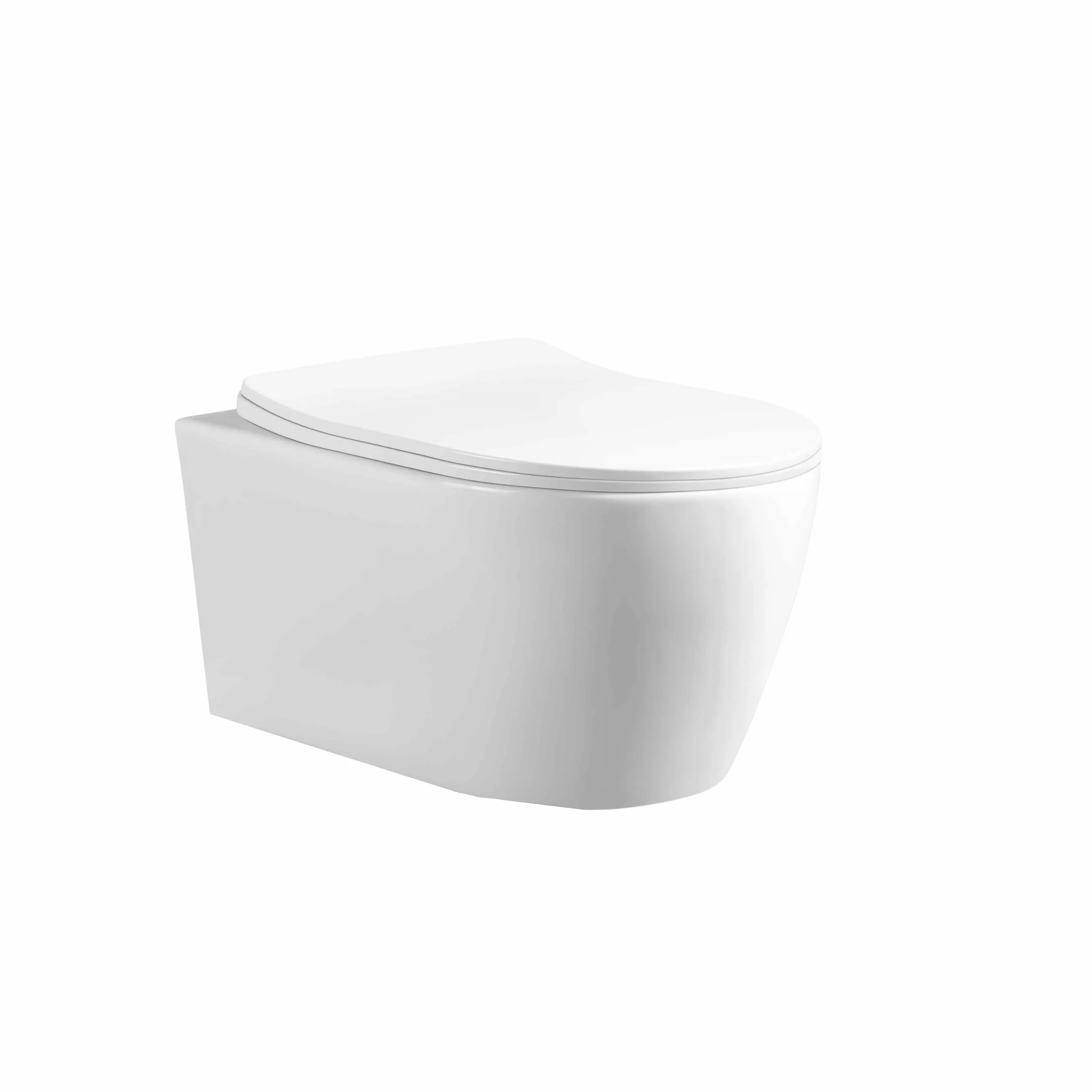 AquaUno Rimless wisząca muszla klozetowa bez obramowania – biała ceramiczna toaleta z systemem Quick Release z duroplastu, higieniczna i łatwa w pielęgnacji, w zestawie zestaw montażowy – model LIVO