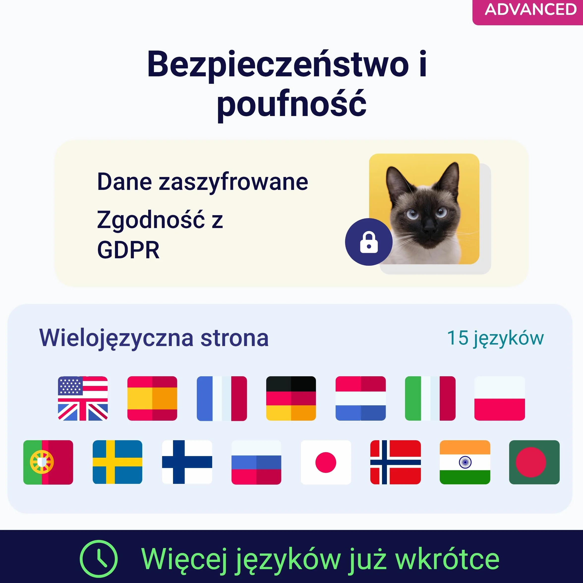 Koko Genetics Test DNA dla Kotów Advanced - (+150 Raporty Ras, Zdrowotne i Cech) - Aktualizacje bez dodatkowych kosztów