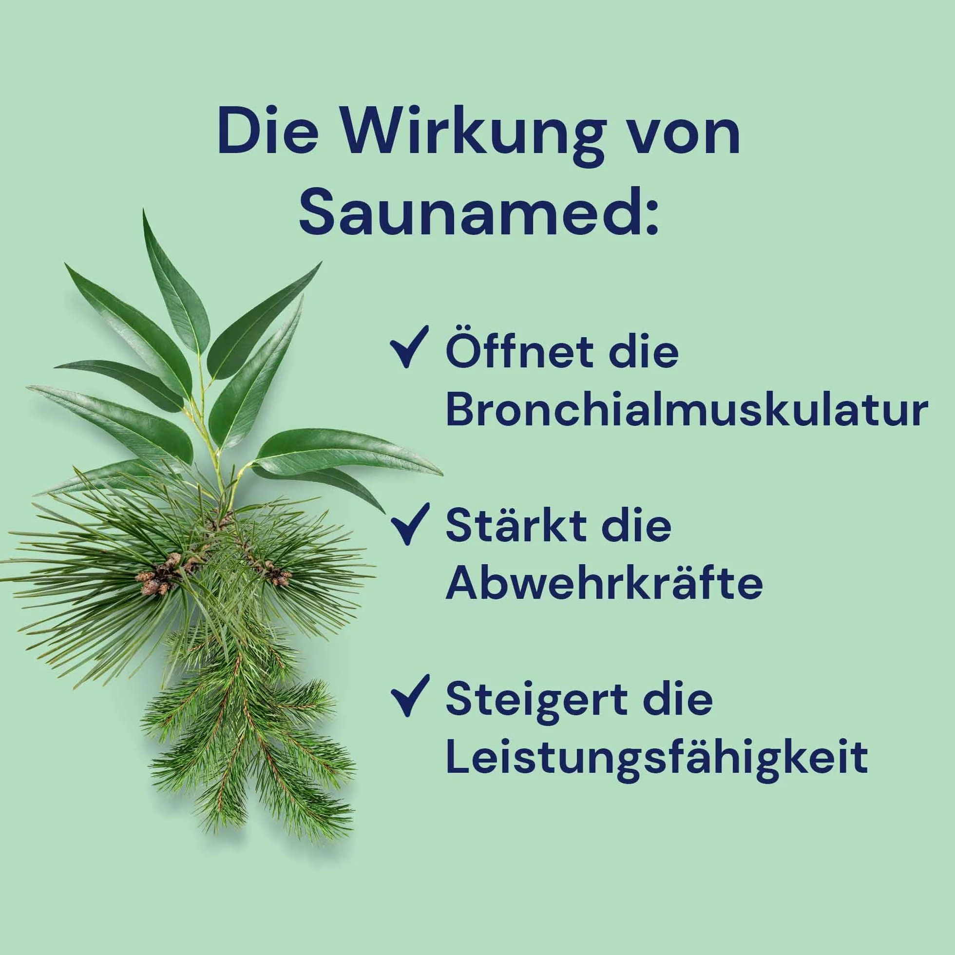 Spinnera "Saunamed" (1000 ml)