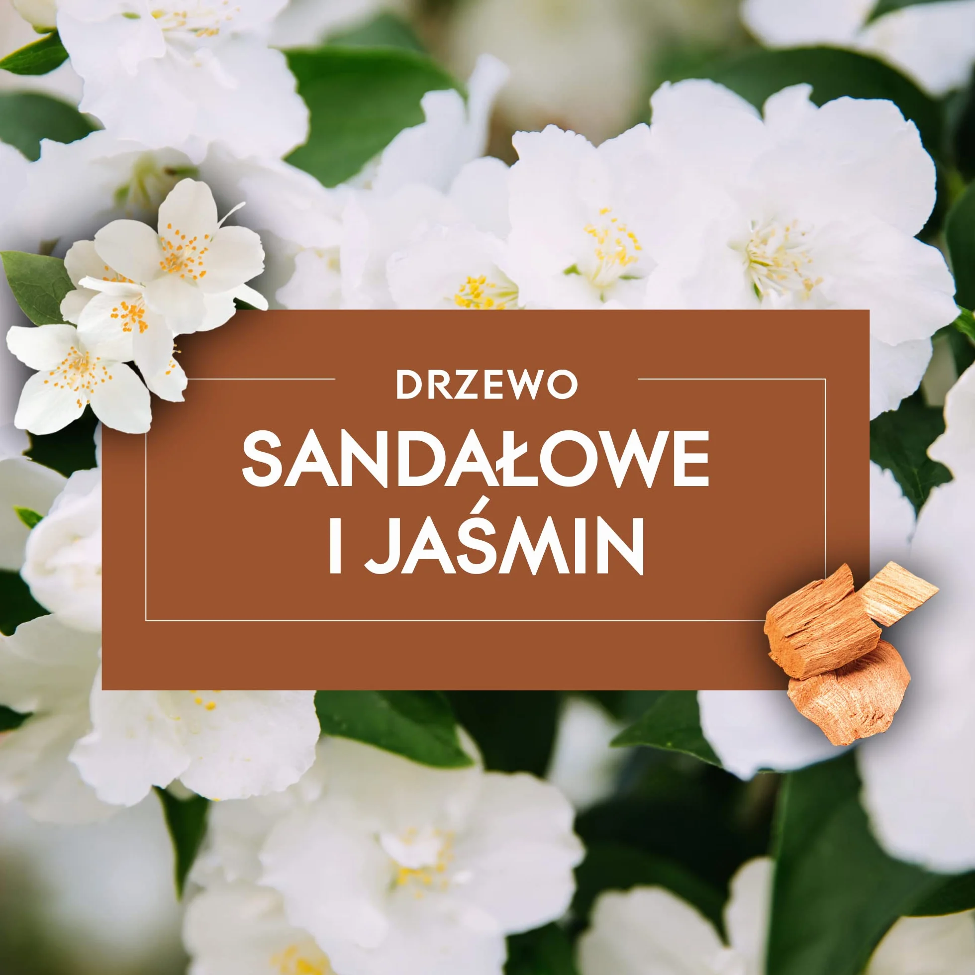 Glade Elektryczny Odświeżacz Powietrza, Electric Scented Oil o Zapachu Sensual Sandalwood & Jasmine, Urządzenie z Wkładem, Długotrwały Zapach, 20 ml