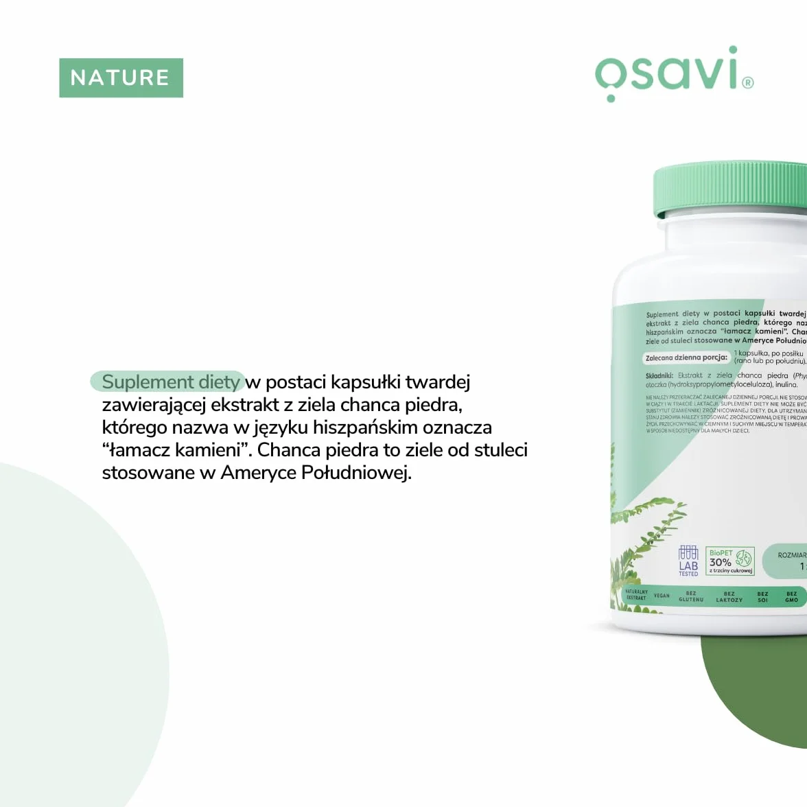 Osavi Chanca Piedra – 120 wegańskich kapsułek | Tradycyjna roślina | Ekstrakt z ziela chanca piedra | 500 mg ekstraktu w jednej kapsułce z 5000 mg Phyllanthus niruri | Clean Label | Dla Wegan