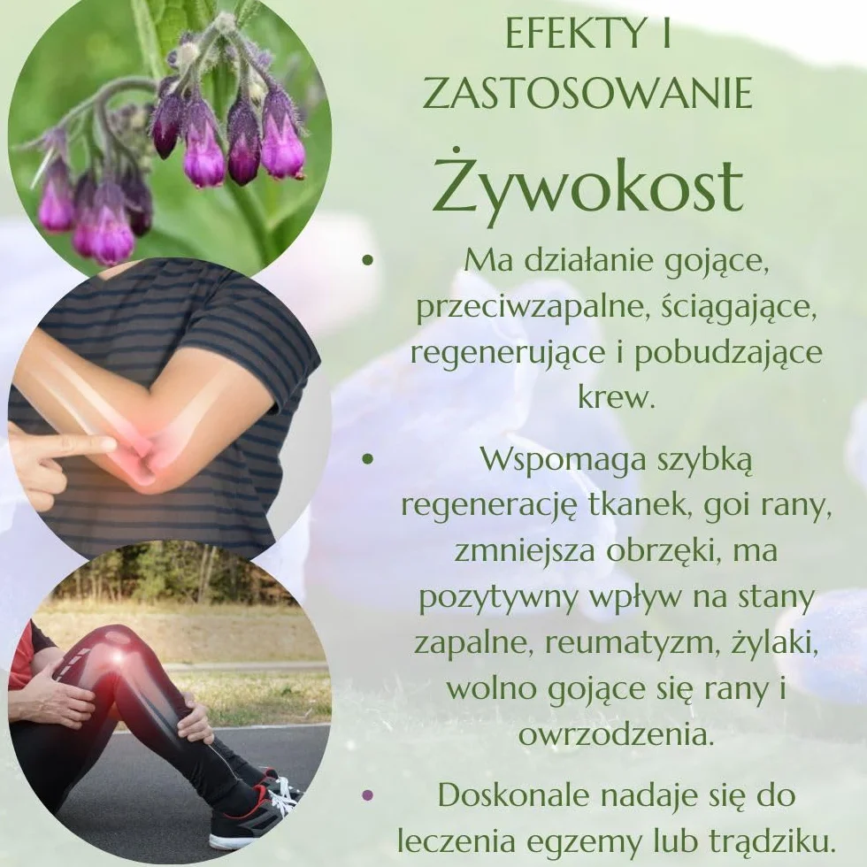Green idea - Żywokost lekarski żel do masażu - bóle stawów, ścięgien i mięśni - na artretyzm, bóle pleców, kolan i karku - działanie lecznicze - 500 ml