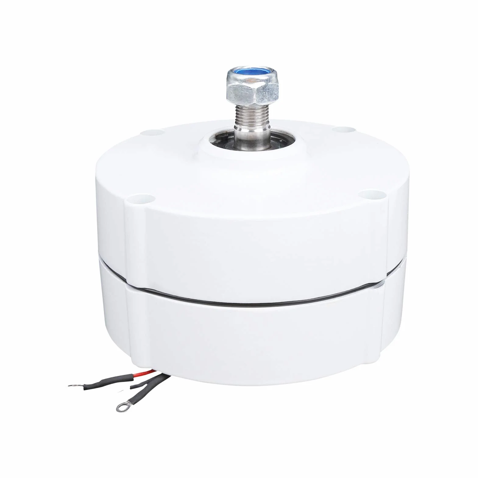 Silnik synchroniczny, 12 V, 100 W, generator z magnesem trwałym, 3-fazowy generator synchroniczny NE-100 do zastosowań przemysłowych (generator)