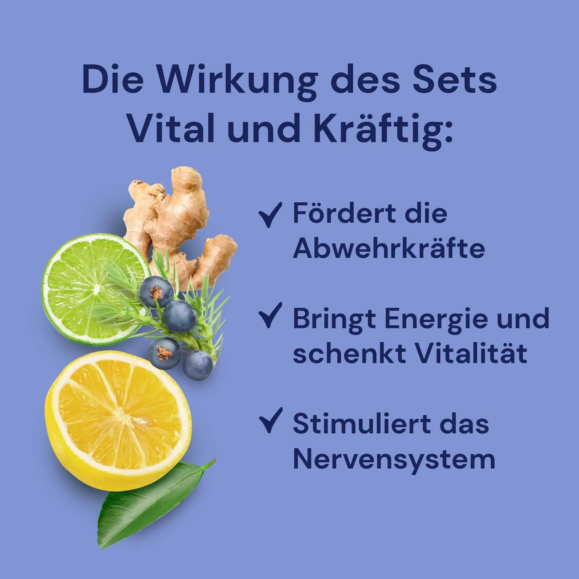 Spitzner Zestaw do zaparzania sauny Vital & Mocny (3 x 190 ml) – sauna, naturalny olejek do sauny o aromatycznym zapachu sauny grejpfruta, jałowca, limonka imbirowa