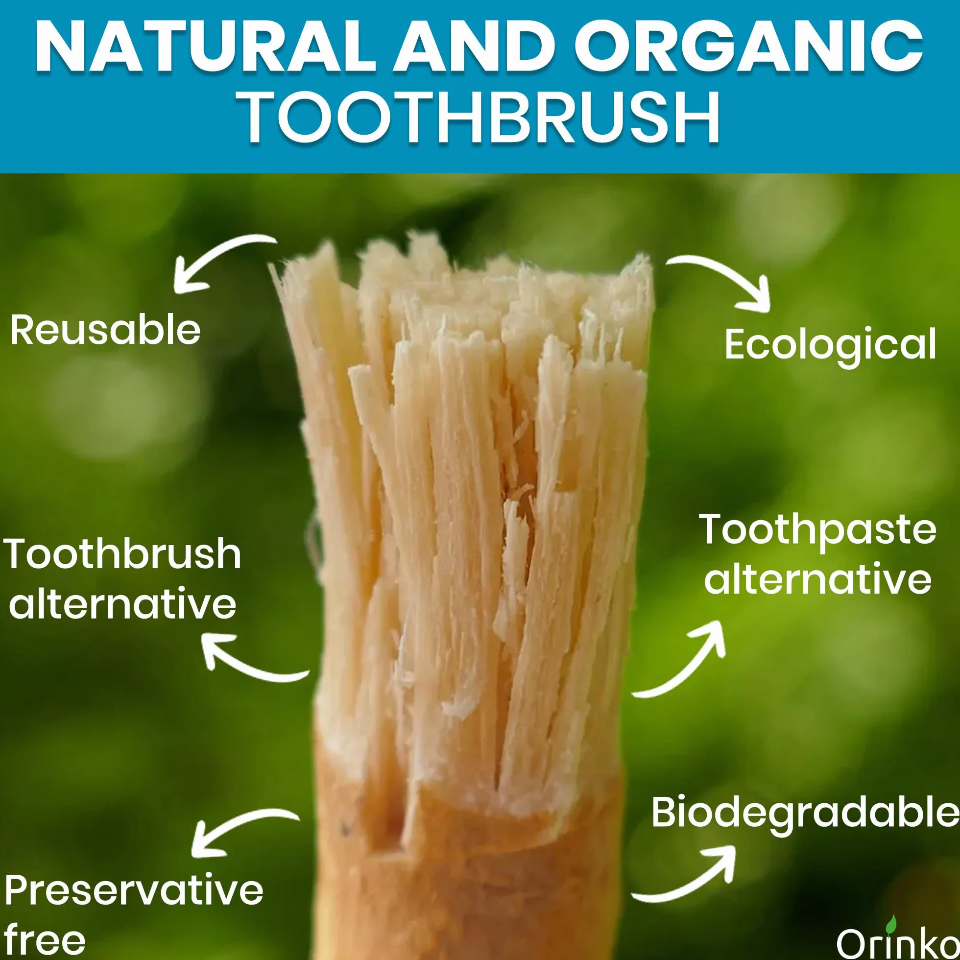 Siwak x3 z 3 etui ochronnymi, 100% naturalna szczoteczka do zębów, środek czyszczący, dezynfekujący i wybielający, ekologiczny, biodegradowalny i wegański, darmowy ebook