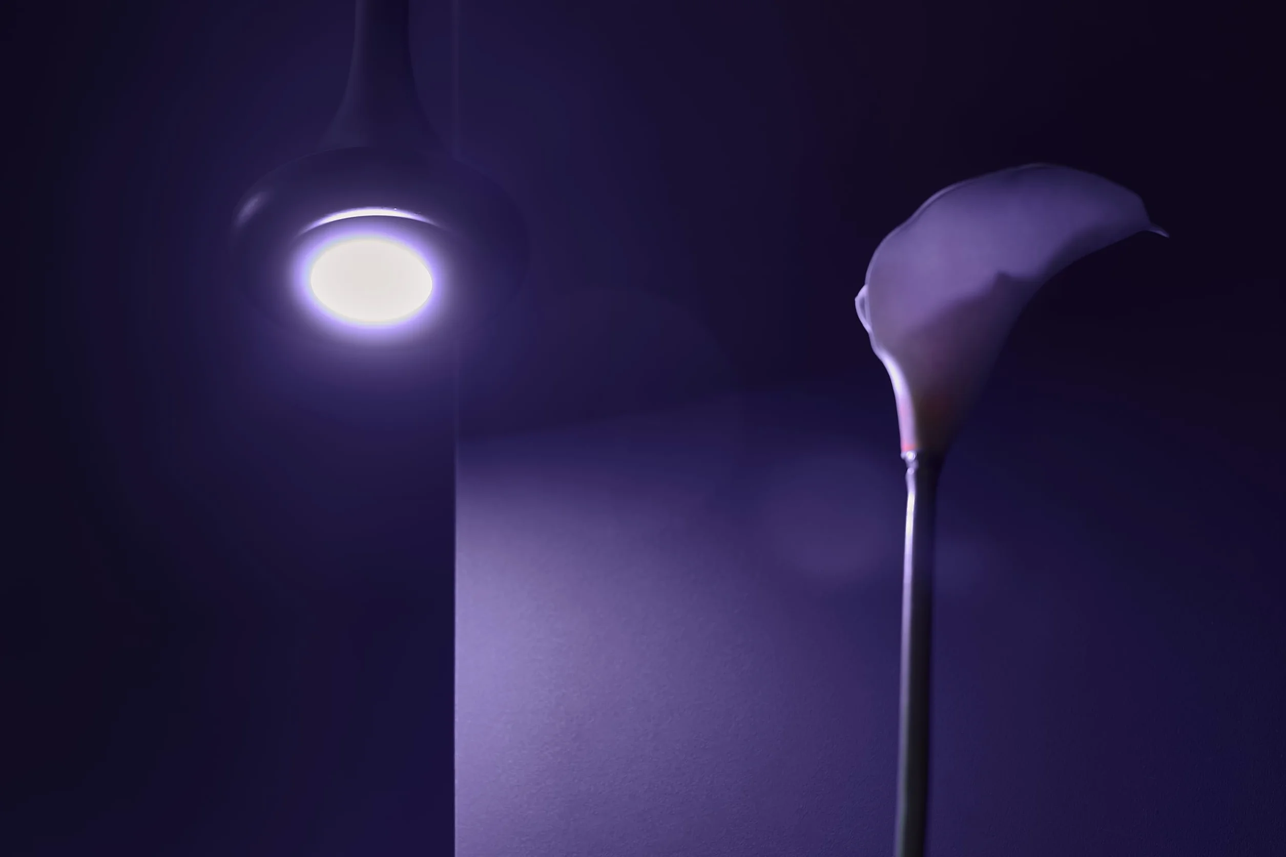 Shelly Duo GU10 -Bezprzewodowa Żarówka Z Monitorowaniem Zużycia Z Funkcjami Ściemniania,Koloru,Automatyka Domowa,Aplikacja iOS, Android,Kompatybilna Z Alexa,Google Home