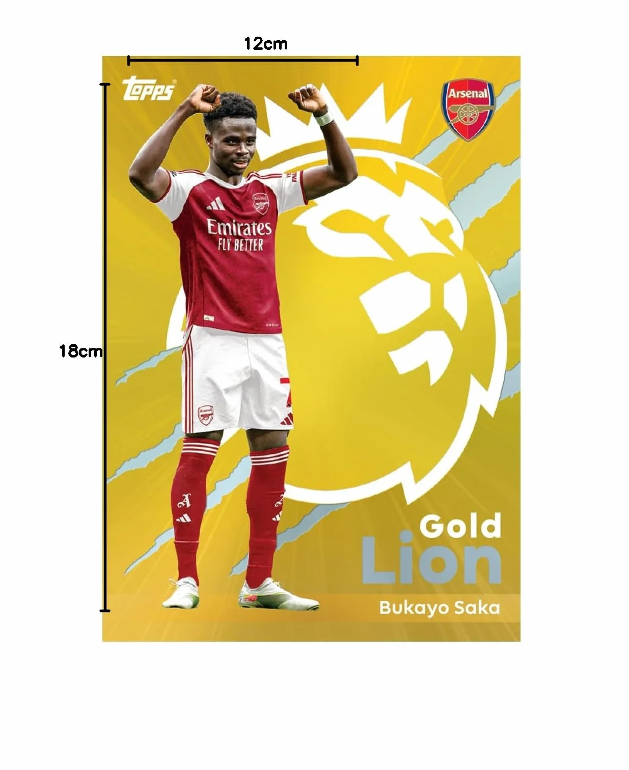 Topps Premier League 2025/26 Super Tin #2 (seria Hall of Fame) | zawiera 50 kart plus 3 ikony Hall of Fame, karty kolekcjonerskie + 250 rękawów na karty Protectodon