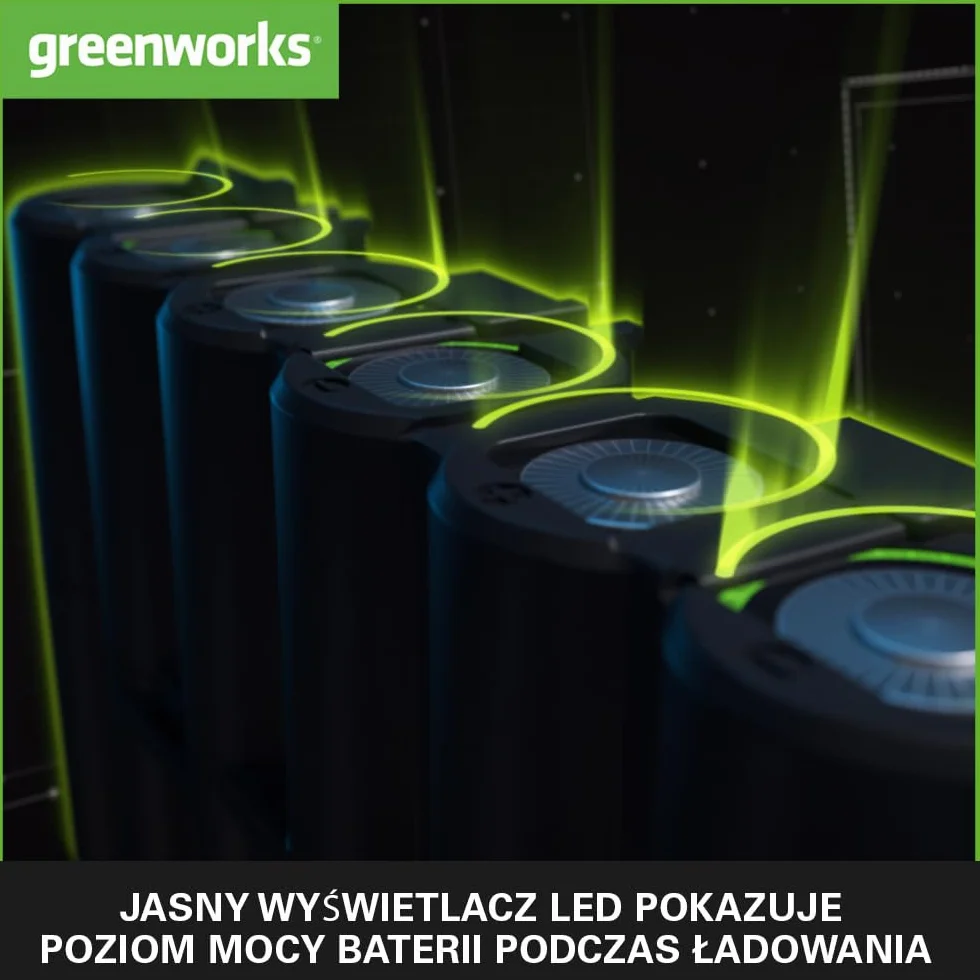 Greenworks Akumulator 24V 4Ah - Mocny Akumulator do Wszystkich Narzędzi Ogrodowych 24V, Akumulator Litowo-Jonowy, Szybkie Ładowanie, 3-Stopniowy Poziom Naładowania LED, G24B4