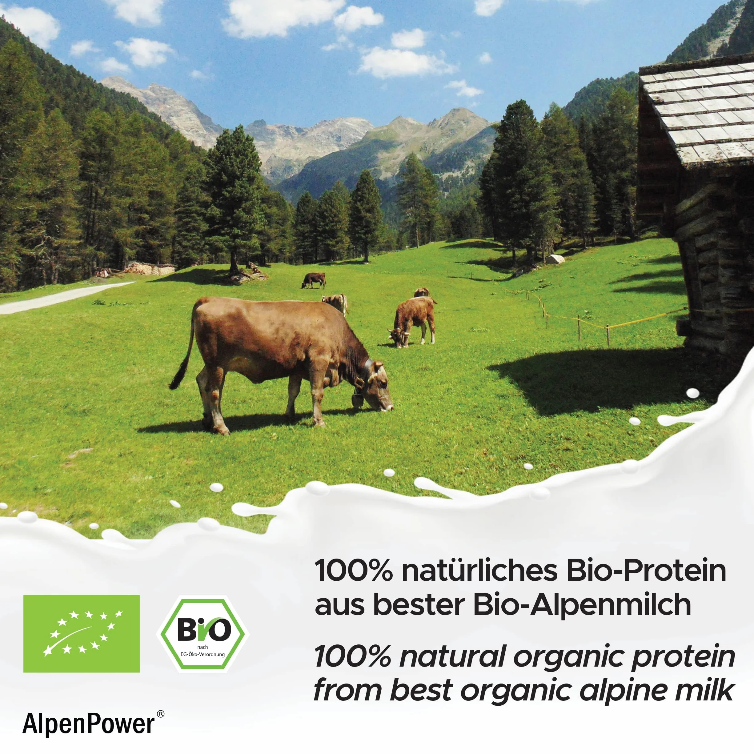 AlpenPower Bio WHEY Protein Vanilla 1 kg – 100% naturalne białko CFM w proszku