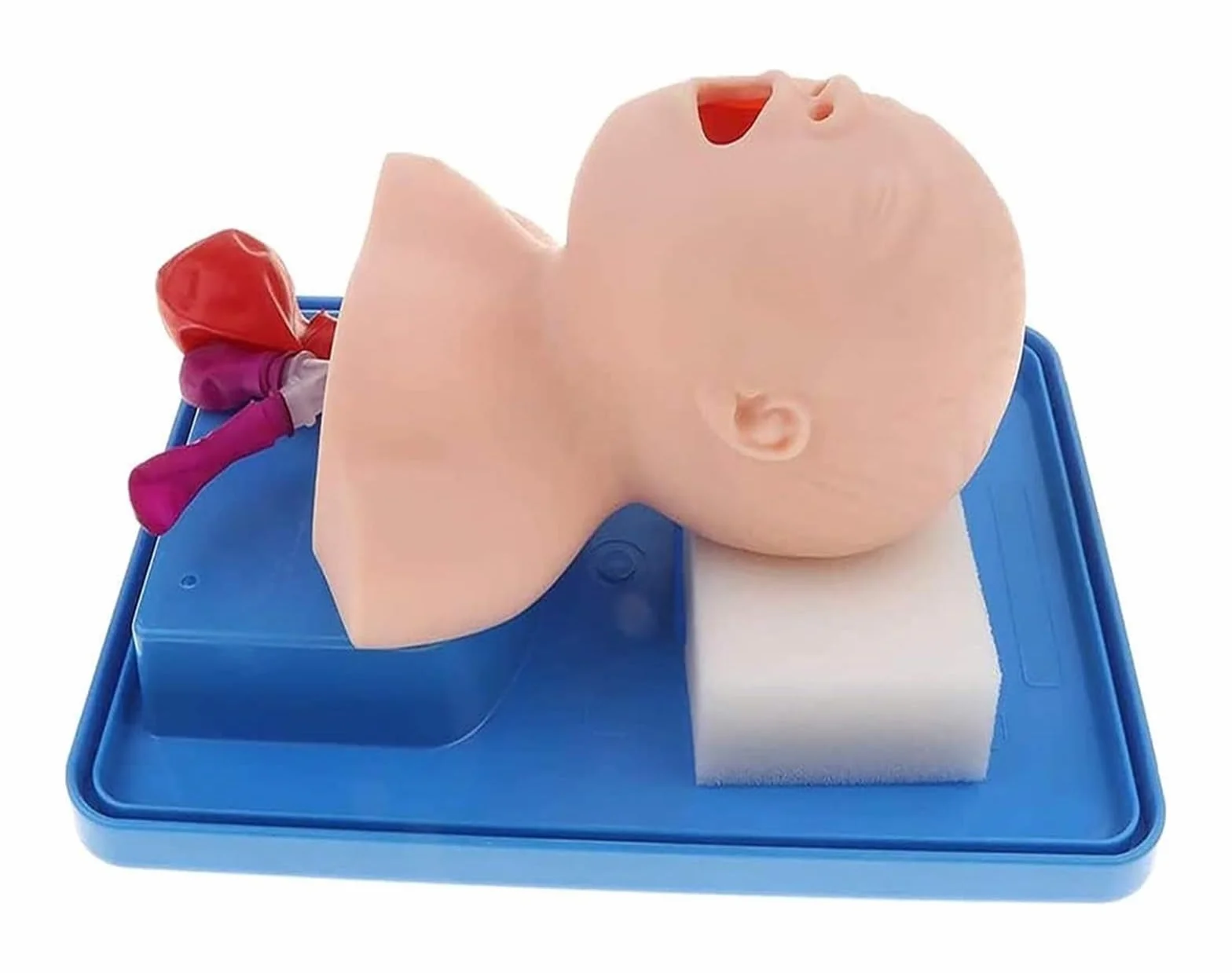 ORGAN MODEL Newborn Baby Infant Intubation Manikin Pediatric Lab Airway Management Trainer