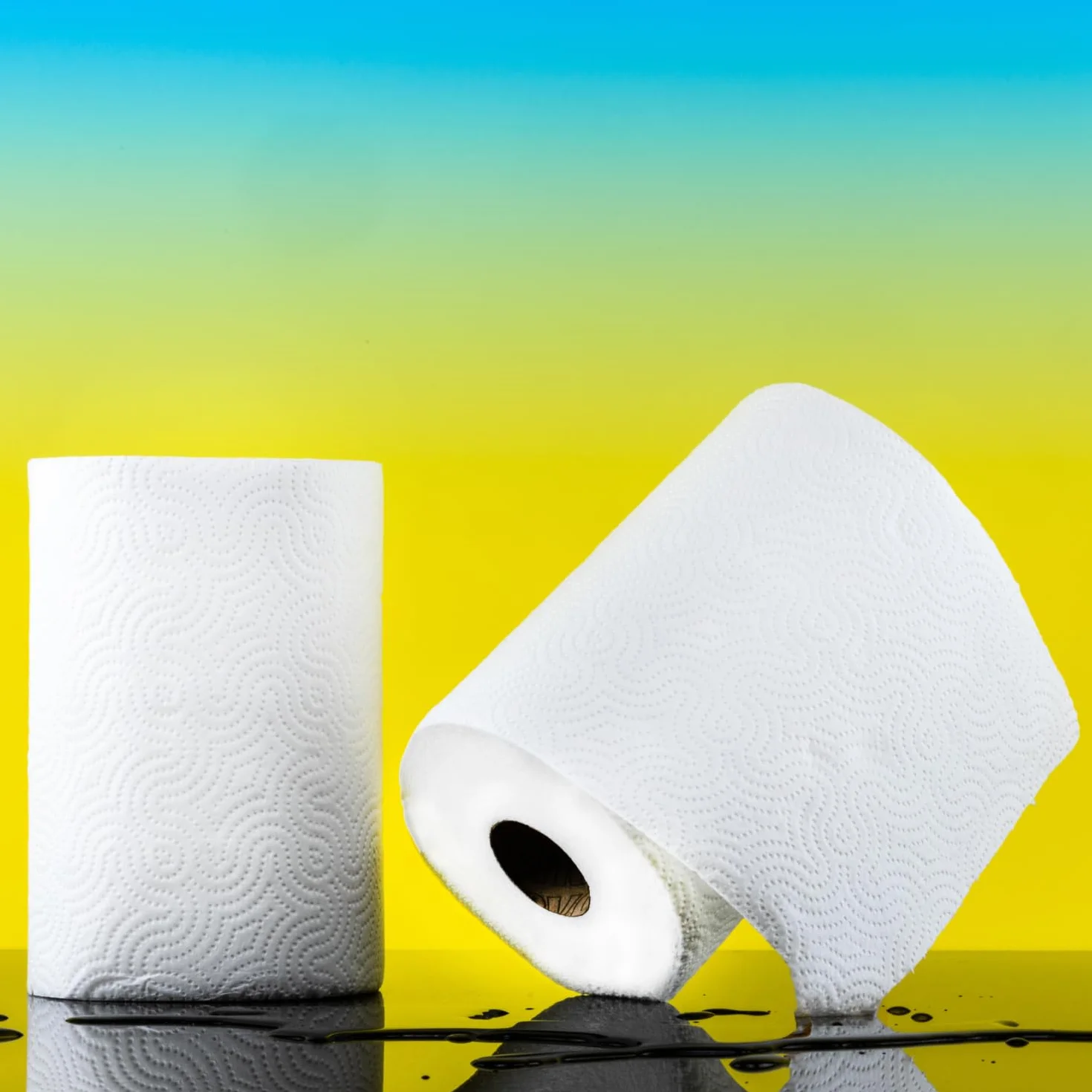 Renova Rolki kuchenne Maxi Absorption Extra XXL 2 rolki papieru Standard XXL z certyfikatem FSC