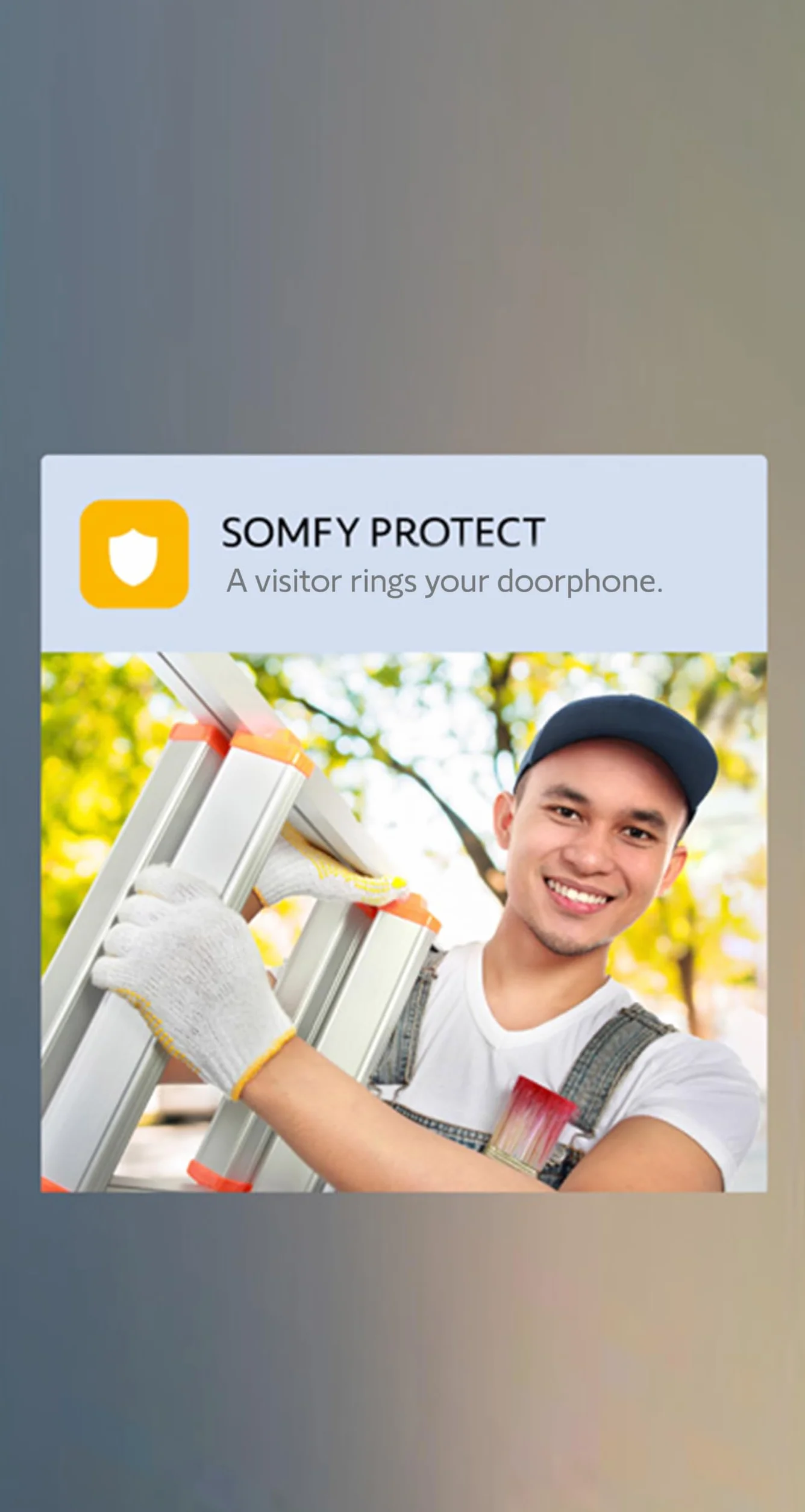 Somfy V350 Domofon, Czarny/Biały, ‎38 x 26 x 26 cm