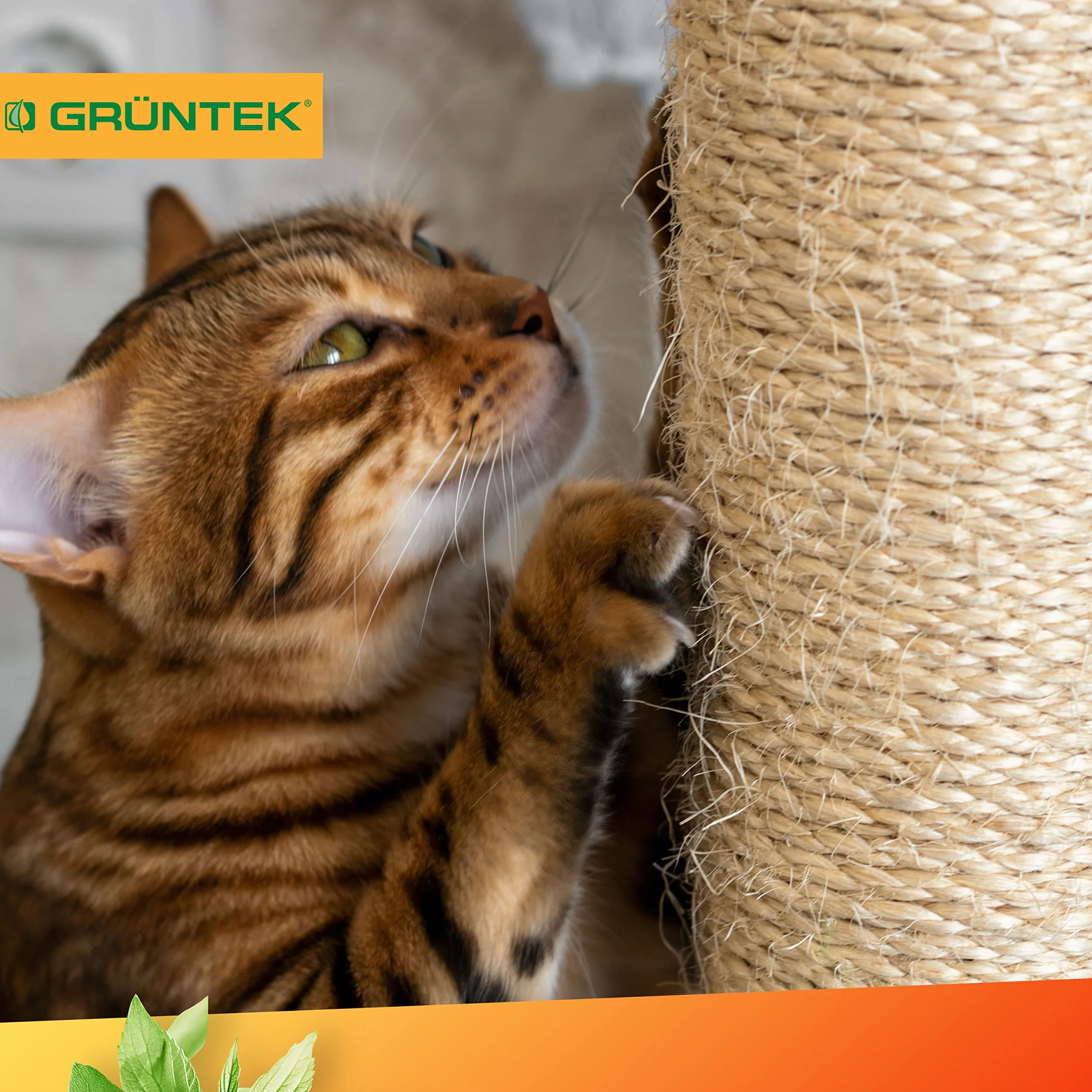 GRÜNTEK sznurek żytni do ogrodu 6 mm grubości, sznurek do wiązania, sznurek ogrodowy, sznurek do majsterkowania w rolce z 60 m, 100% naturalny żytni sznurek w kolorze naturalnym, do pakowania