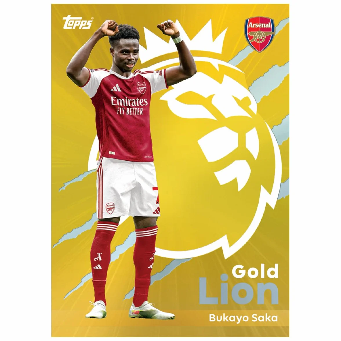 Topps Premier League 2025/26 Super Tin #2 (seria Hall of Fame) | zawiera 50 kart plus 3 ikony Hall of Fame, karty kolekcjonerskie + 250 rękawów na karty Protectodon