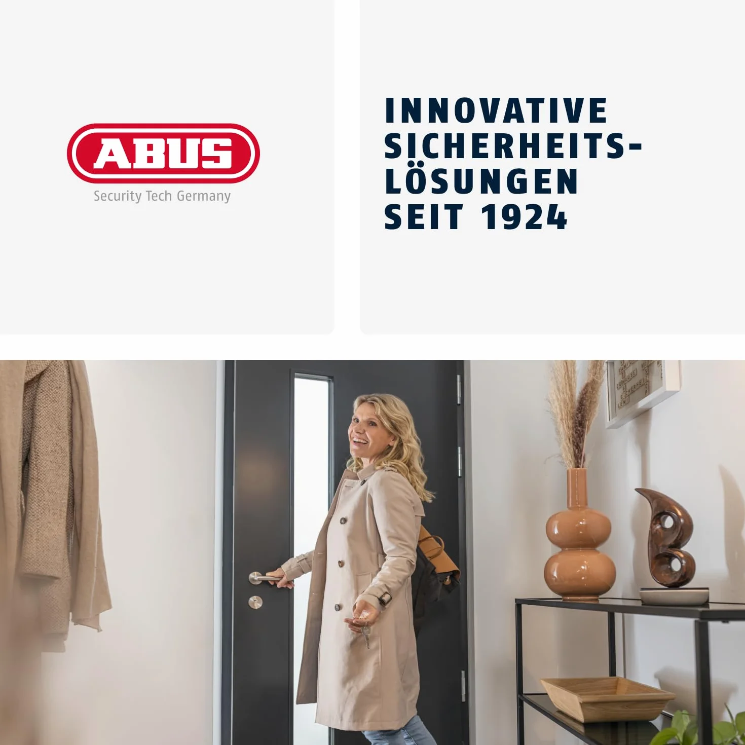 ABUS 27466 729 ścienny sejf na klucze, srebrny
