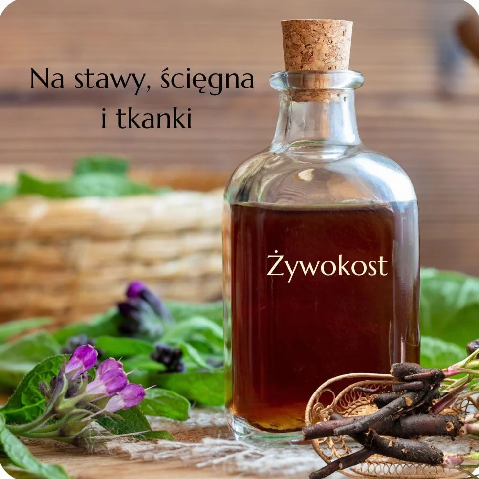 Green idea - Żywokost lekarski żel do masażu - bóle stawów, ścięgien i mięśni - na artretyzm, bóle pleców, kolan i karku - działanie lecznicze - 500 ml