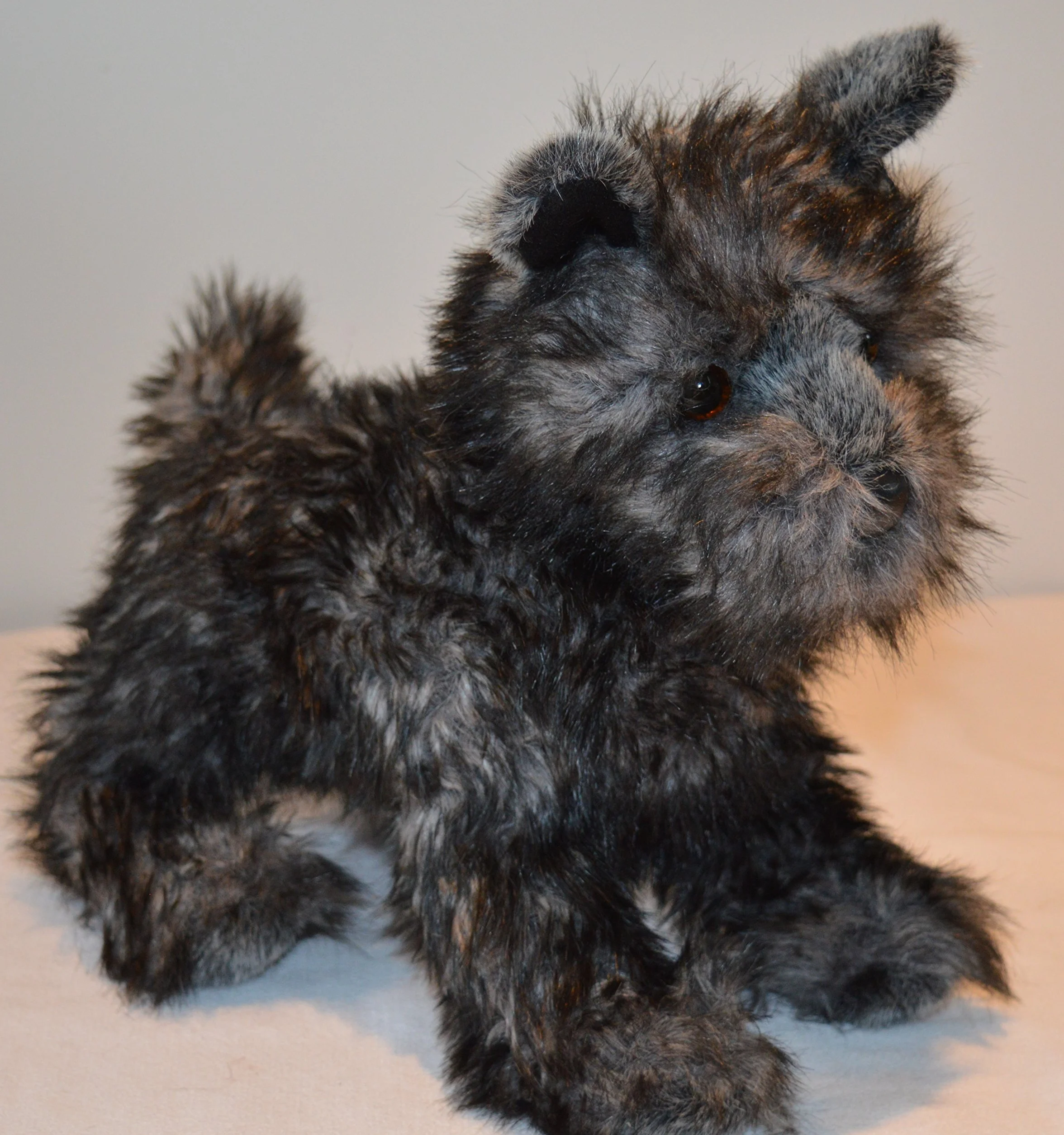 Cairn Terrier - terapia wypchanych zwierząt dla osób z utratą pamięci spowodowaną starzeniem się i opiekunami przez niezapomniane zwierzęta