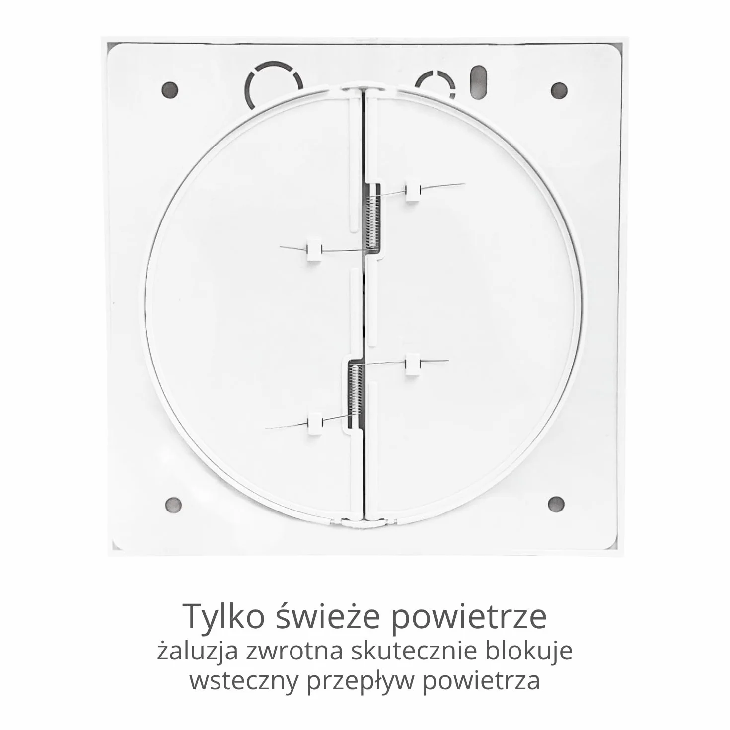 Turbionaire MIO 100 LL-SC wentylator łazienkowy, 100 mm, chromowany do ewakuacji, standard do łazienki, kuchni, silnika z łożyskami kulkowymi, blokada biegu wstecznego, stopień ochrony IPX4 przed