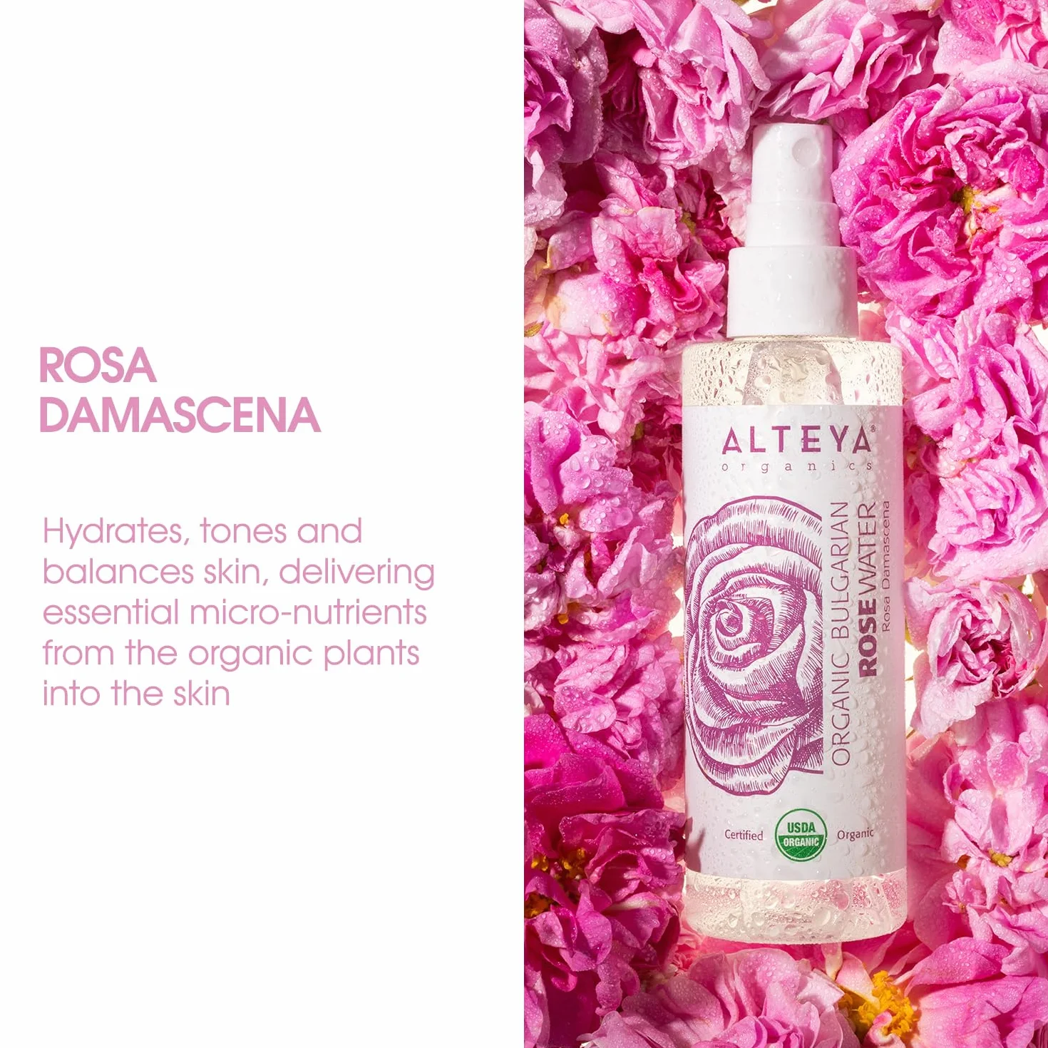 Alteya Bio woda różana w sprayu, 100 ml – 100% certyfikat USDA Organic, autentyczna, czysta naturalna woda kwiatowa z róży damasceńskiej, sprzedaż bezpośrednio od hodowcy róż Alteya Organics