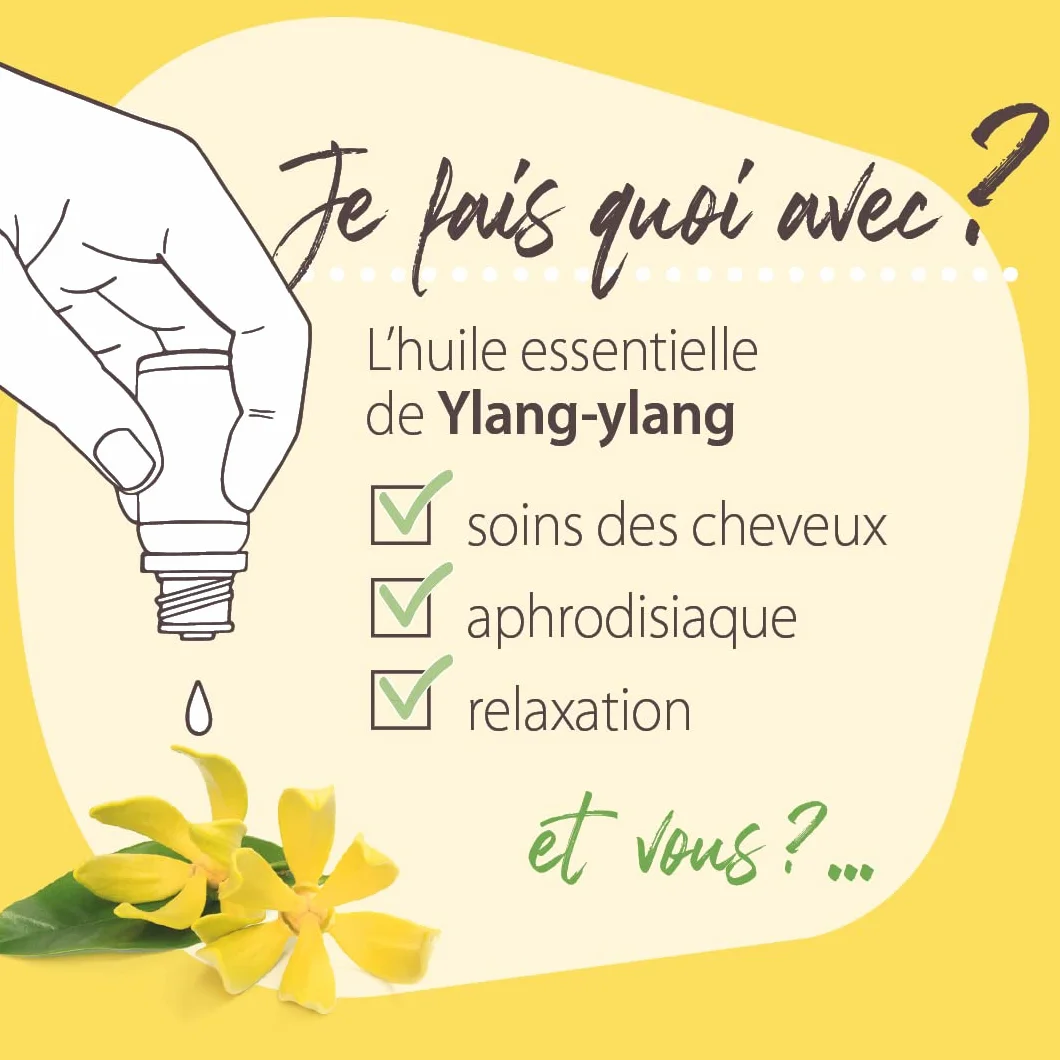 Pranarôm Les Diffusables Bien Chez Soi mieszanka olejków eterycznych do dyfuzora Cocooning Ylang-Ylang i Organiczna róża damasceńska (Eco) 30 ml