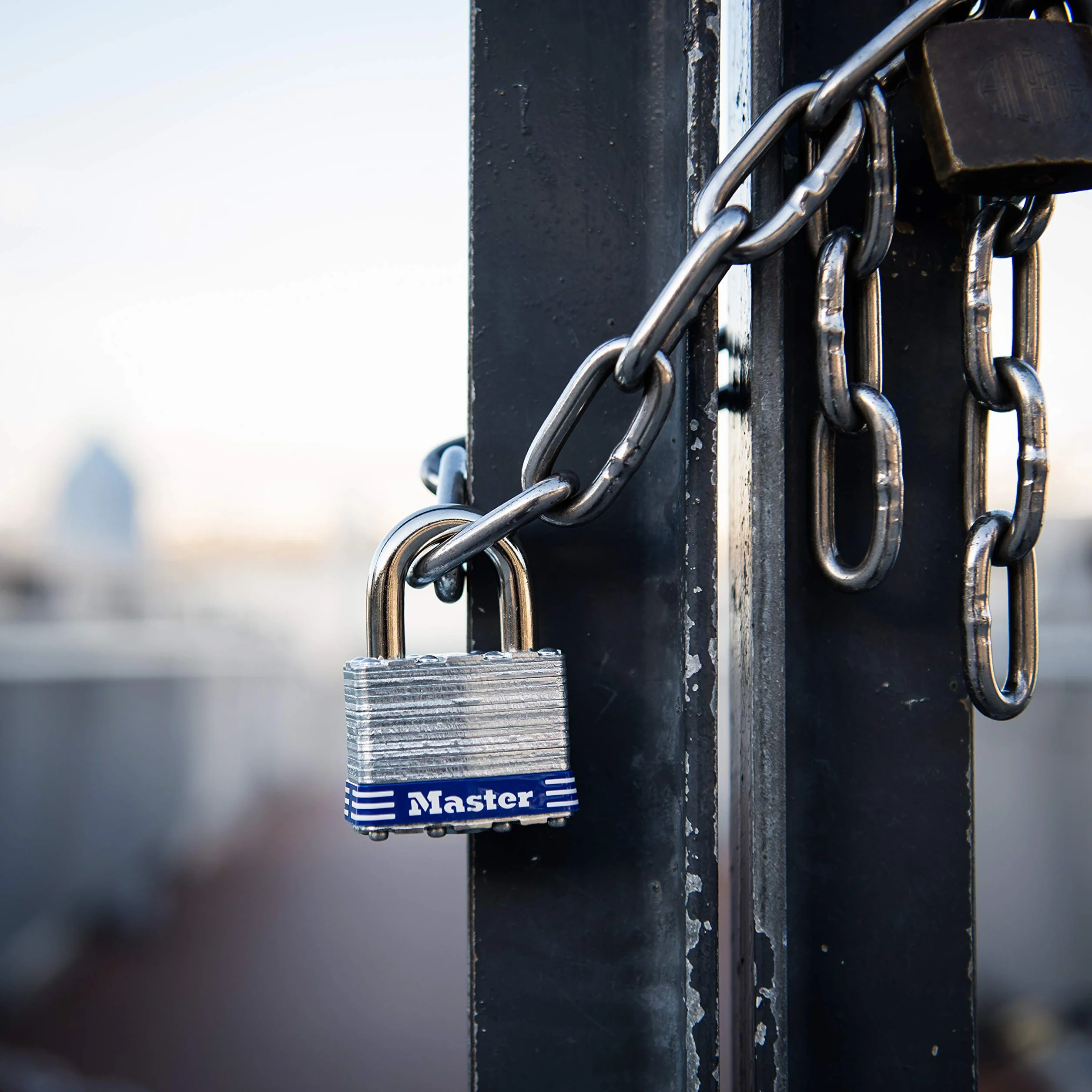 Master Lock 3EURD Kłódka laminowana z kluczem, szara, 5,9 x 4 x 2,1 cm