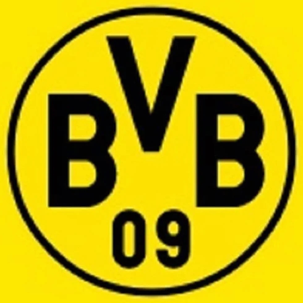 Borussia Dortmund, BVB poduszka Południowa trybuna, wielokolorowa, 40 x 40 cm, 1 sztuka (1 opakowanie)
