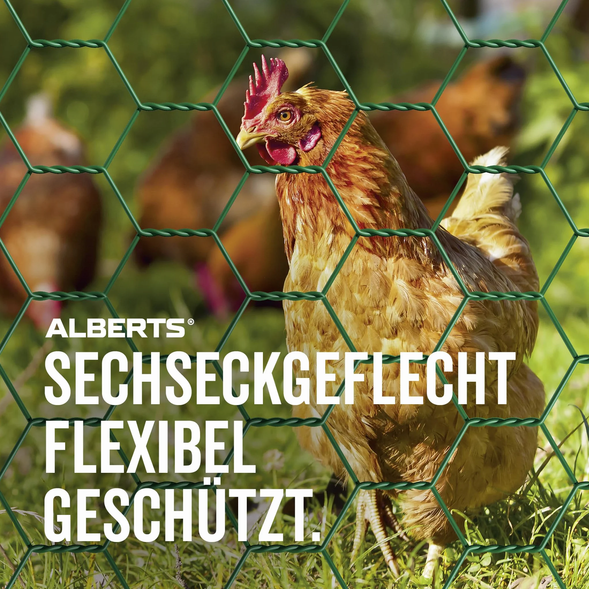 Alberts 614225 Siatka heksagonalna | różne długości i wysokości - opcjonalnie w różnych kolorach | zielona | oczka 25 x 25 mm | wysokość 50 cm | długość 10 m