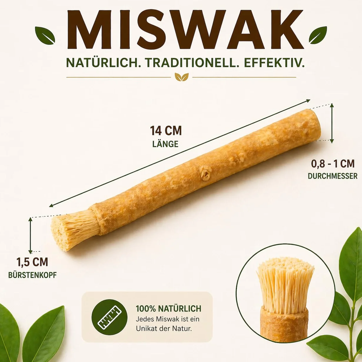 Miswak szczoteczka do zębów, 10 sztuk, tradycyjna szczoteczka do zębów, 100% naturalna szczoteczka do zębów Siwak, korzeń Miswak, czyszczenie i rozjaśnianie, przyjazna dla środowiska i