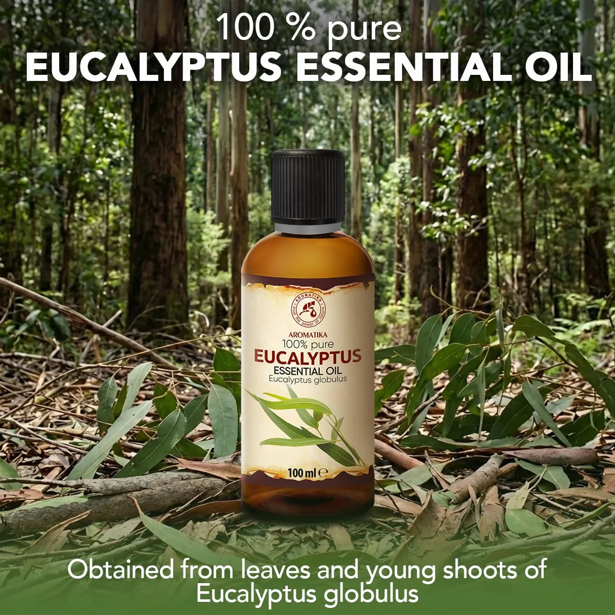 Olejek Eteryczny Eukaliptusowy 100 ml - Eucalyptus Globulus - Olejek Aromatyczny do Dyfuzora - Aromaterapia - Świece Zapachowe - Mydła - Odświeżanie Powietrza
