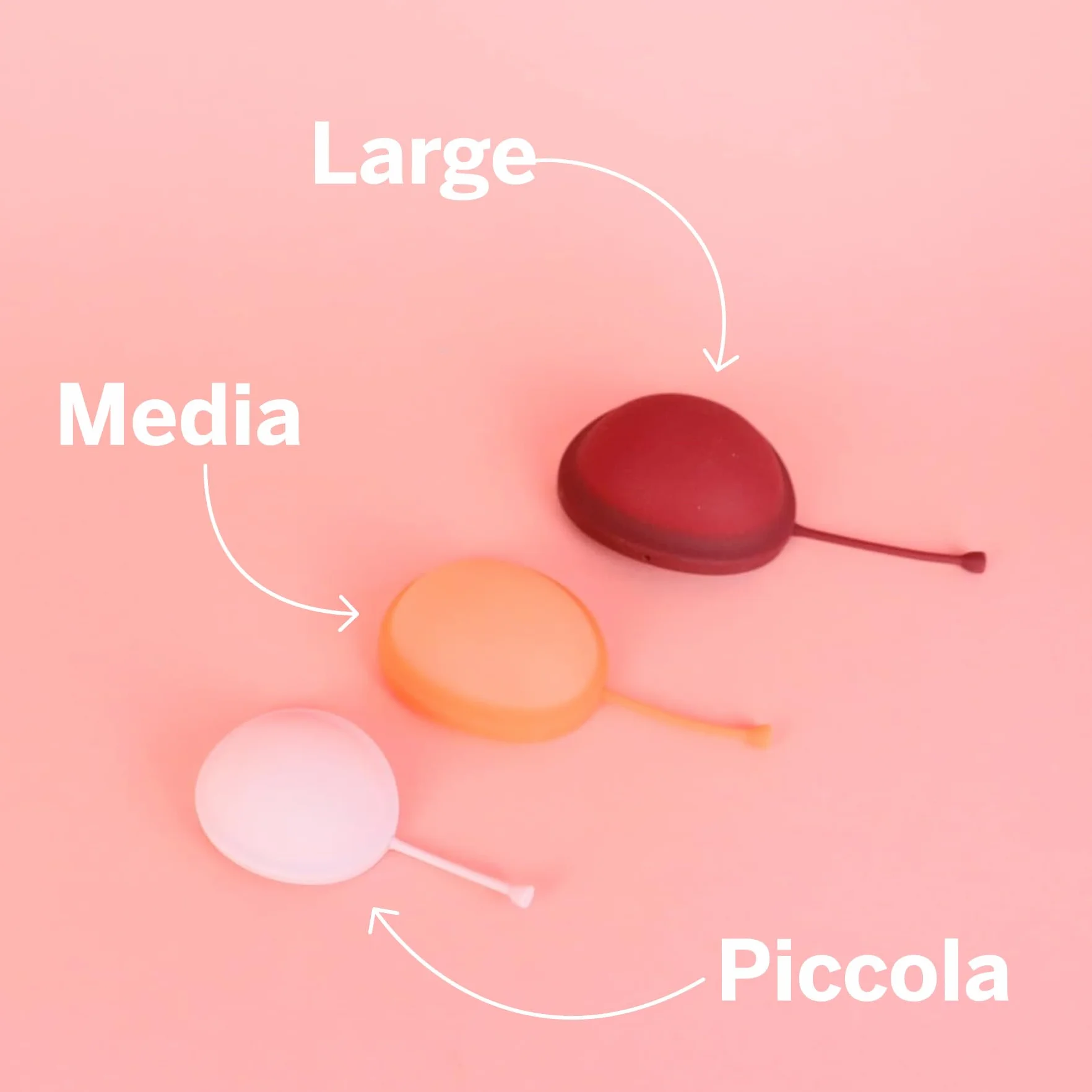 2 krążki menstruacyjne - bez metali i toksyn - 100% silikon klasy medycznej - 1 miejsce dla większości miękkich dysków wielokrotnego użytku - usuwa się jak tampon - zużycie 12 godzin - pojemność 3 i 6