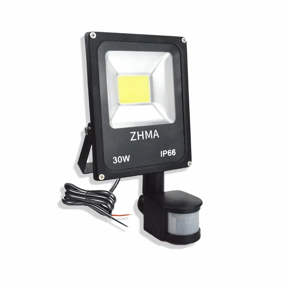 Reflektor LED Zewnętrzny 12-24 V DC 30 W 6000 K IP66 Wodoodporny
