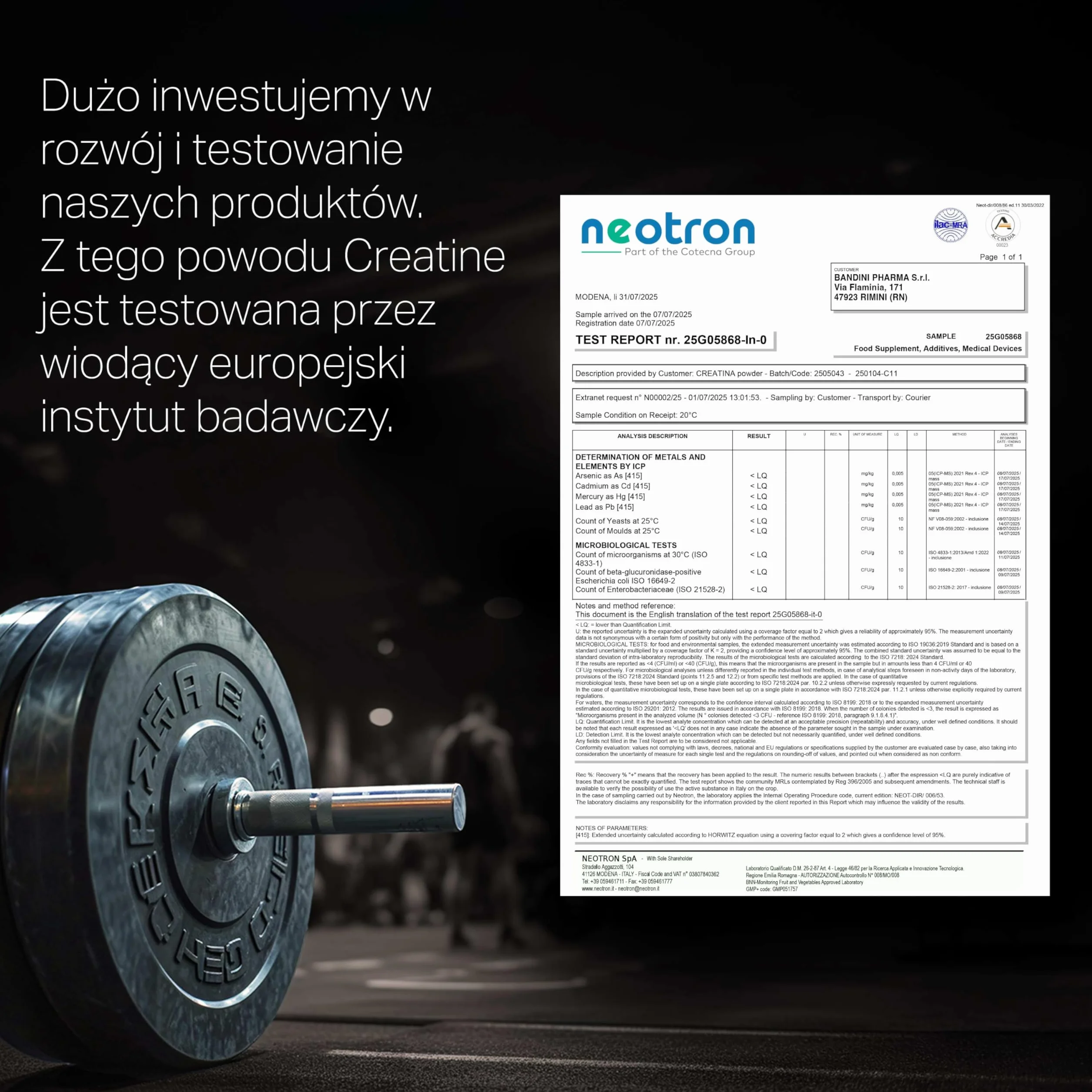 Bandini Kreatyna CREAPURE Monohydrat w czystym proszku suplement trening sport siłownia 100% wegańskie