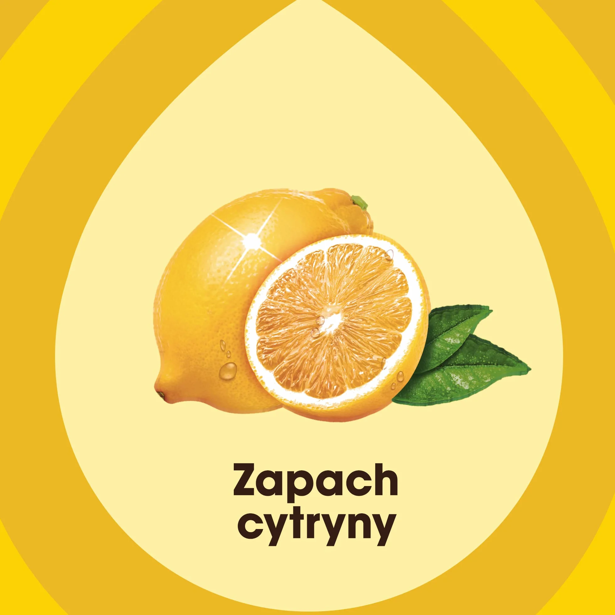 Pronto® Expert Care Lemon do mebli drewnianych w aerozolu - Lemon 300ml