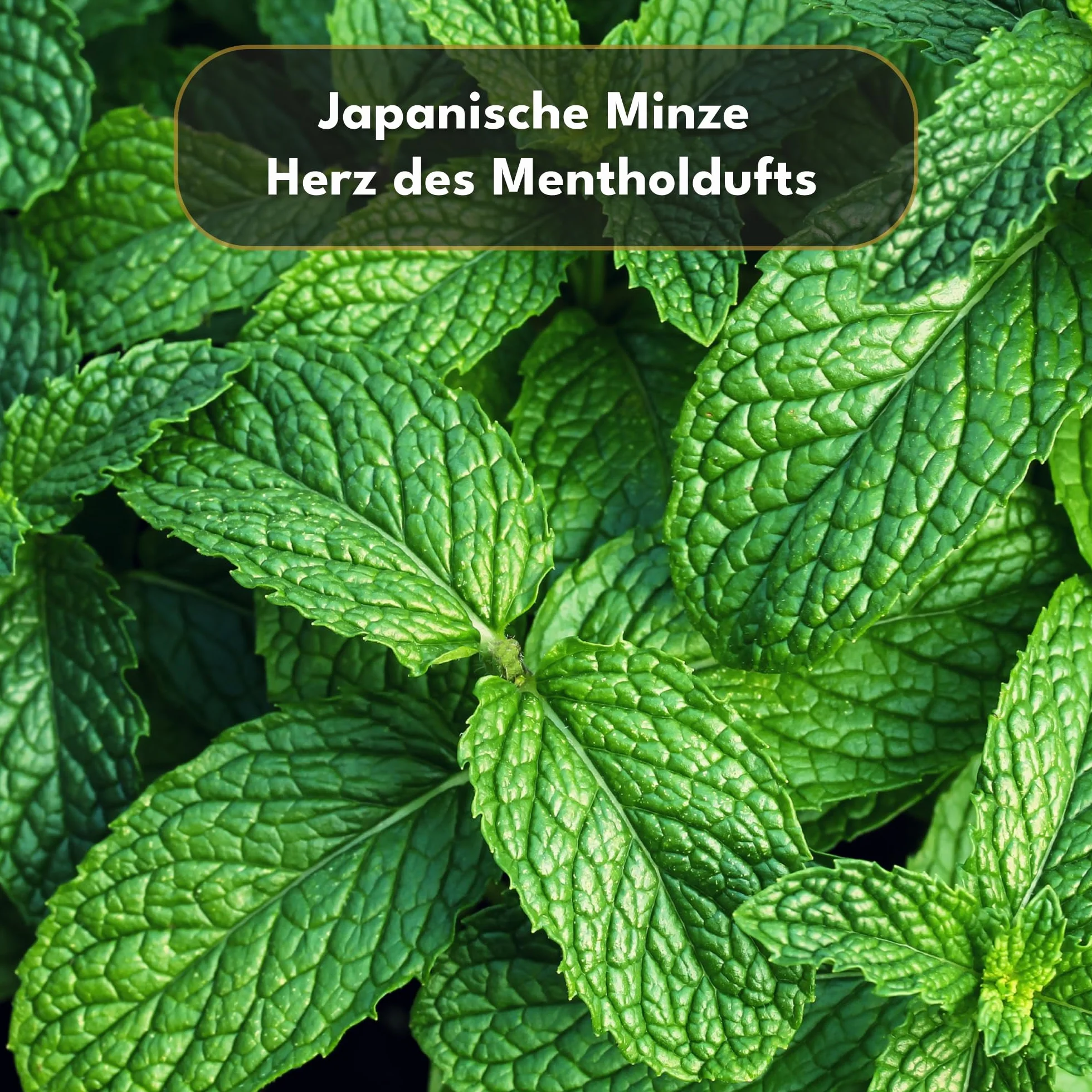 Mentol Krystaliczny do Sauny Inhalacji Kryształki Mentolowe 100% Naturane